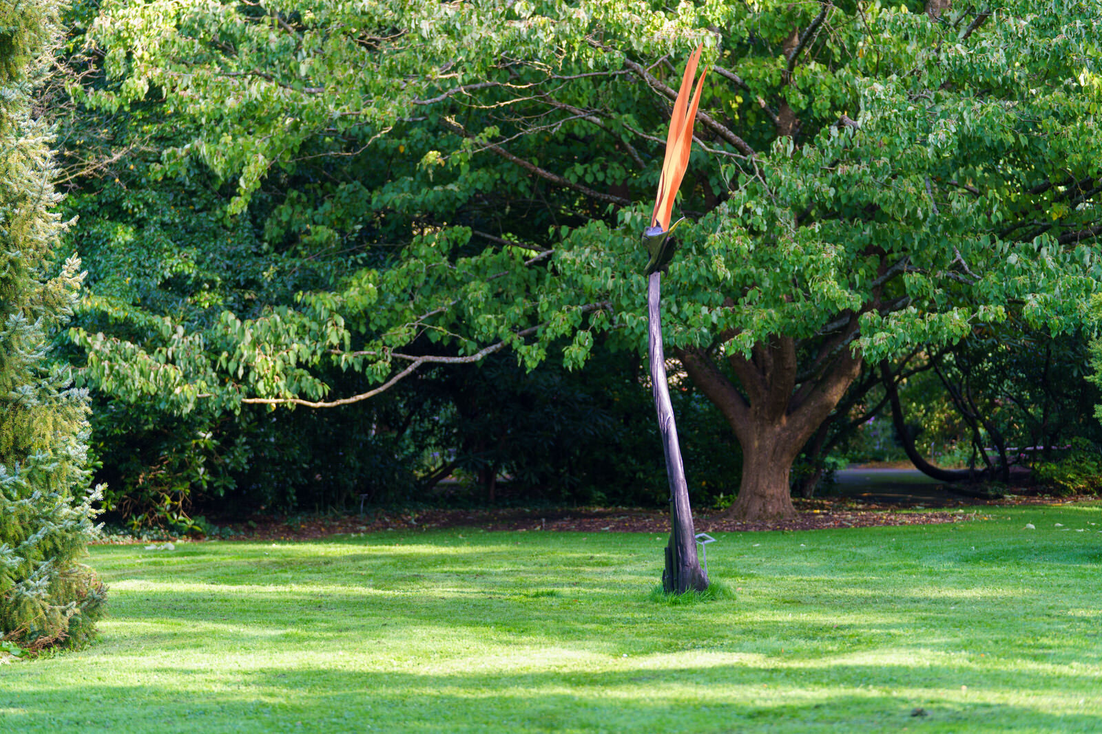 BIRD OF PARADISE BY BRIAN O'LOUGHLAIN [SCULPTURE IN CONTEXT 2023 CATALOGUE REF 131] 002