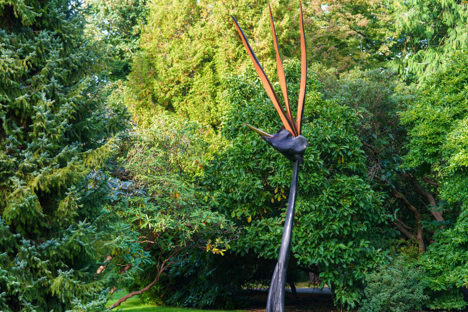 BIRD OF PARADISE BY BRIAN O'LOUGHLAIN [SCULPTURE IN CONTEXT 2023 CATALOGUE REF 131] 005