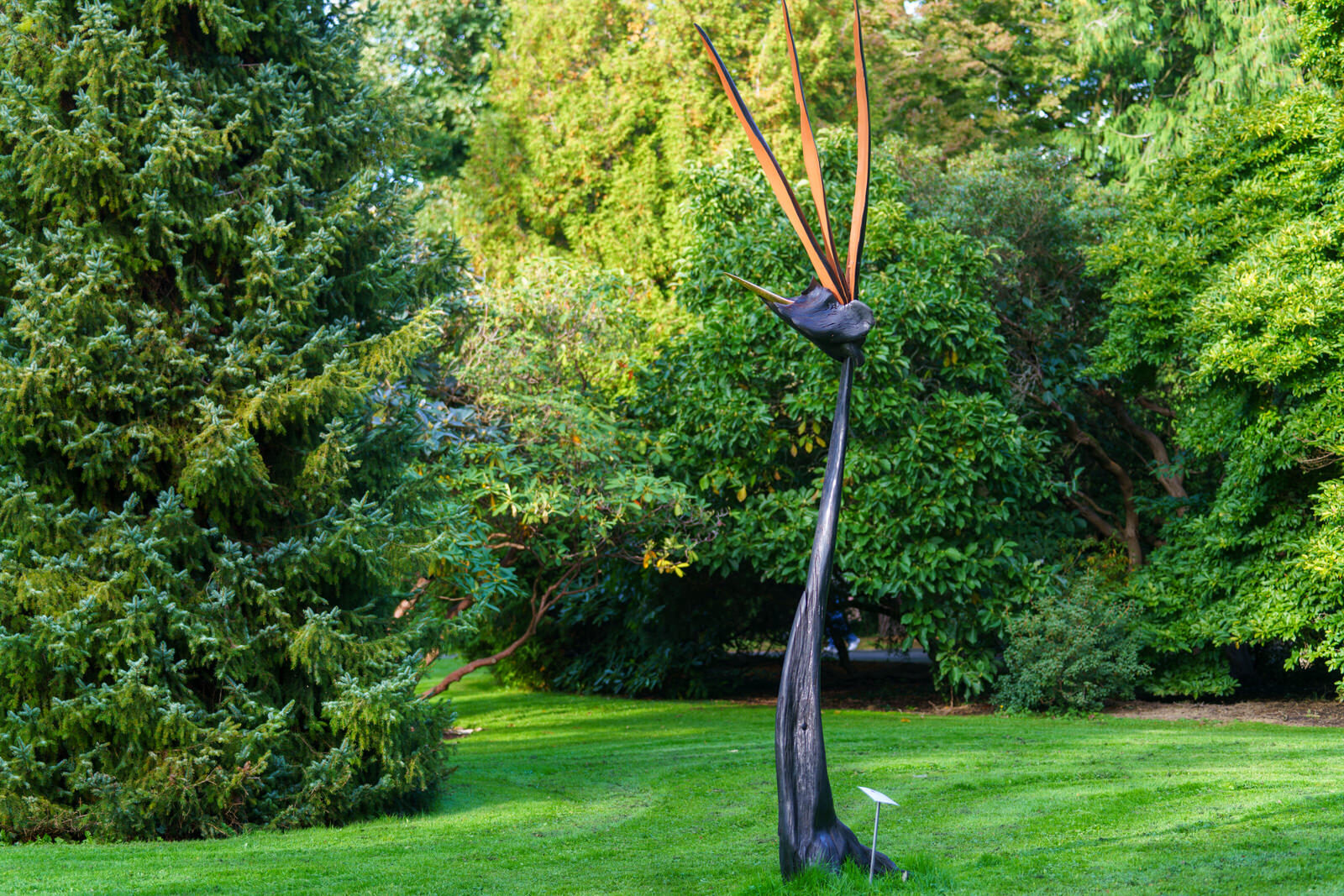 BIRD OF PARADISE BY BRIAN O'LOUGHLAIN [SCULPTURE IN CONTEXT 2023 CATALOGUE REF 131] 003