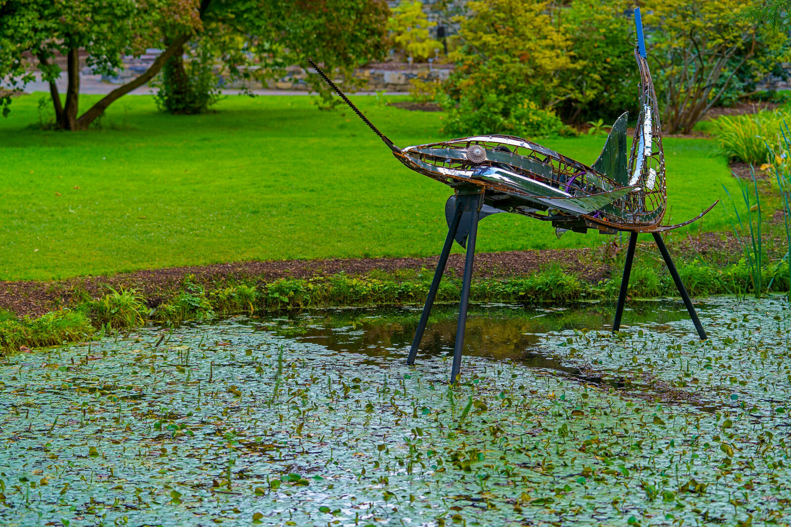 SAWFISH BY FRANK HALLINAN FLOOD [SCULPTURE IN CONTEXT 2023 CATALOGUE REF 70] 004