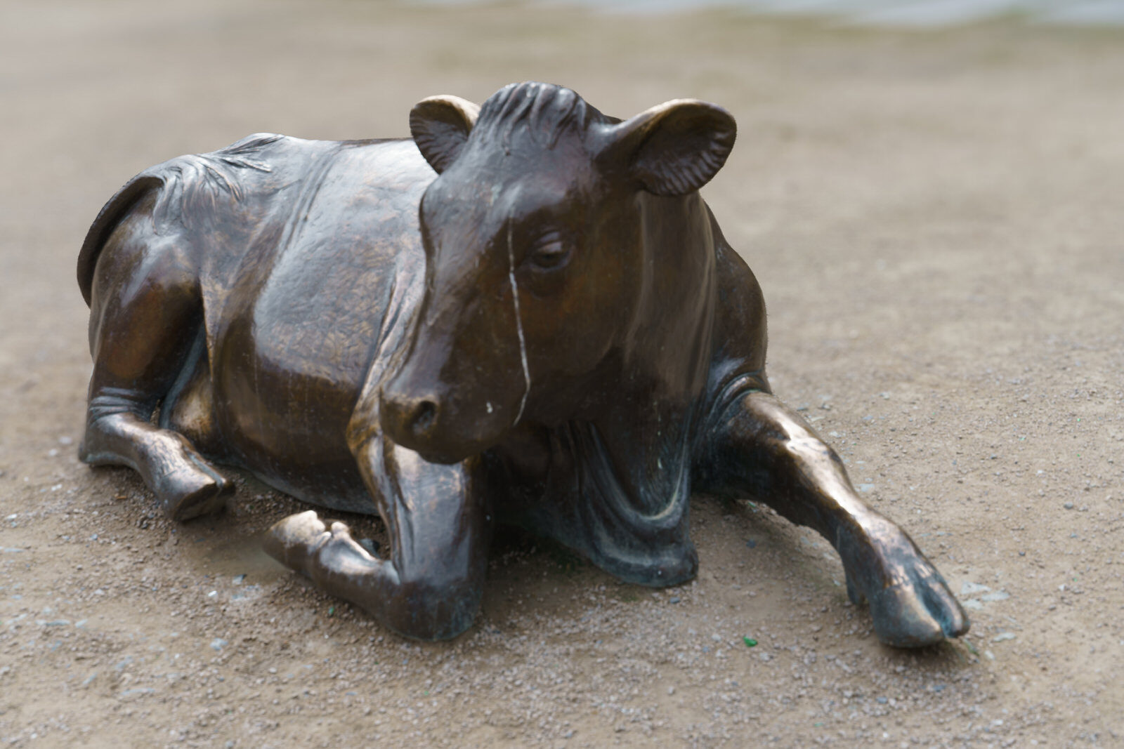 THE BRONZE COW WAS ENJOYING LIFE BACK IN 2016 [BUT IT IS NOW LONELY AS IT WAS RELOCATED TO WOOD QUAY]-233988-1