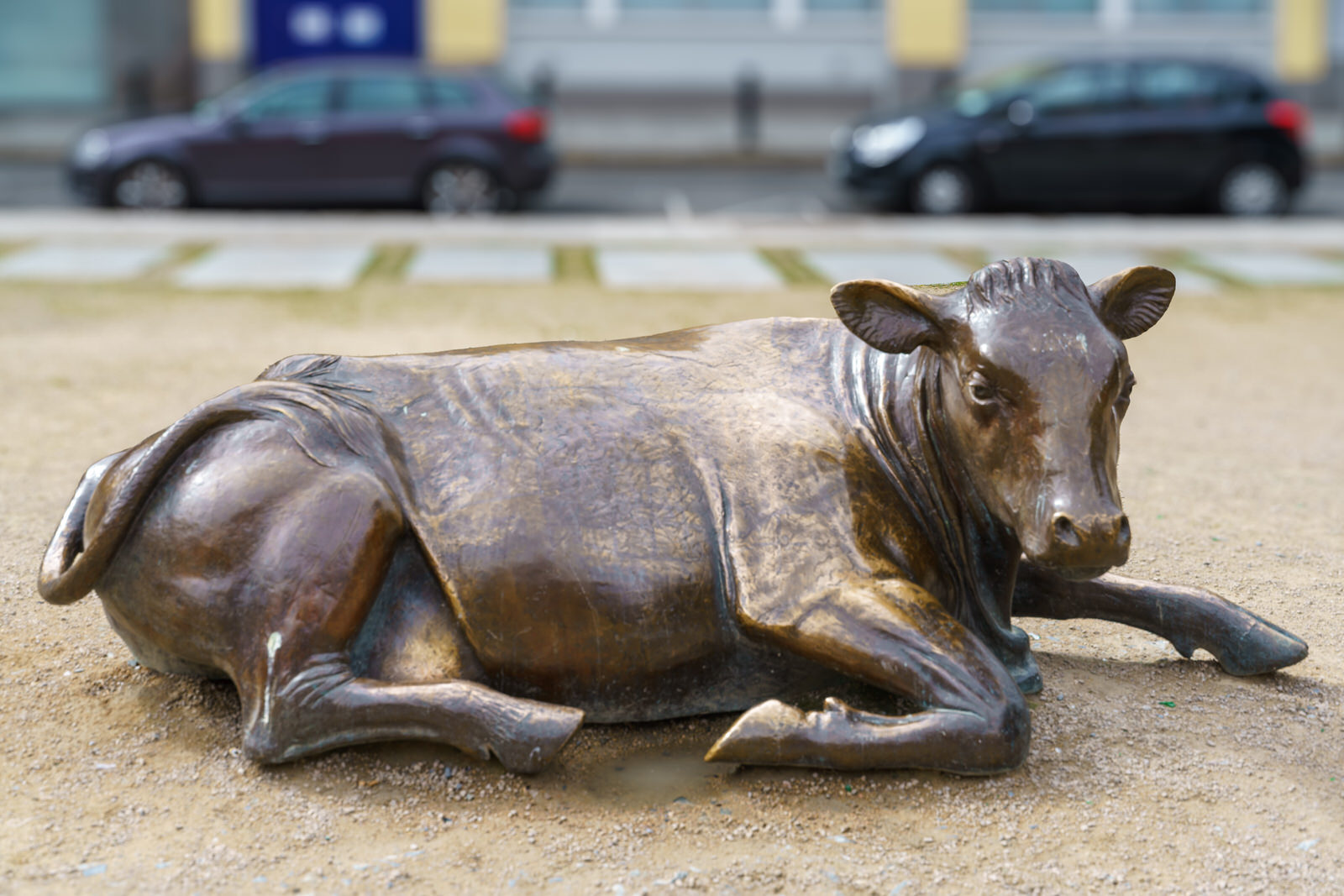 THE BRONZE COW WAS ENJOYING LIFE BACK IN 2016 [BUT IT IS NOW LONELY AS IT WAS RELOCATED TO WOOD QUAY]-233989-1