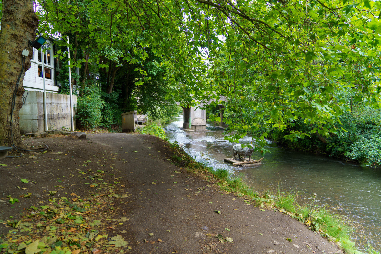 A LONELY RHINO IN THE DODDER [BEHIND THE DROPPING WELL PUB]-239108-1