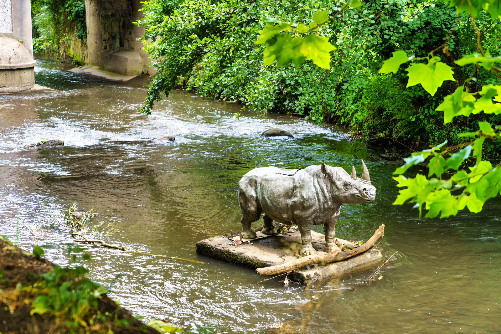 A LONELY RHINO IN THE DODDER [BEHIND THE DROPPING WELL PUB]-239109-1