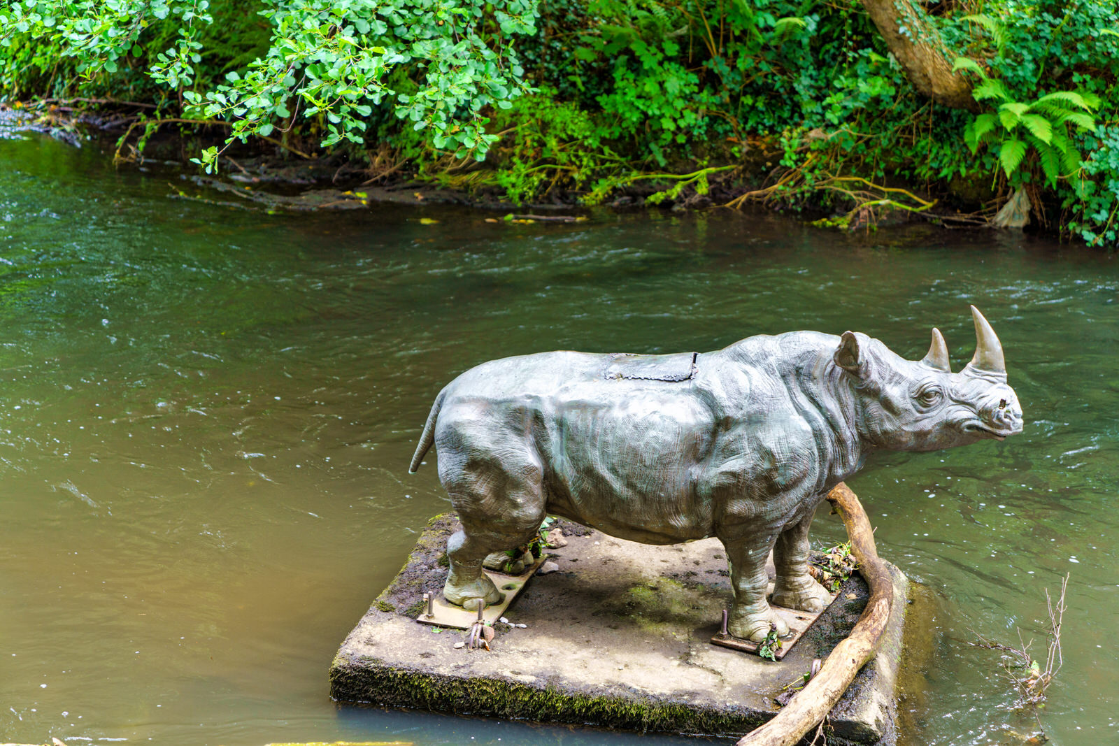 A LONELY RHINO IN THE DODDER [BEHIND THE DROPPING WELL PUB]-239110-1