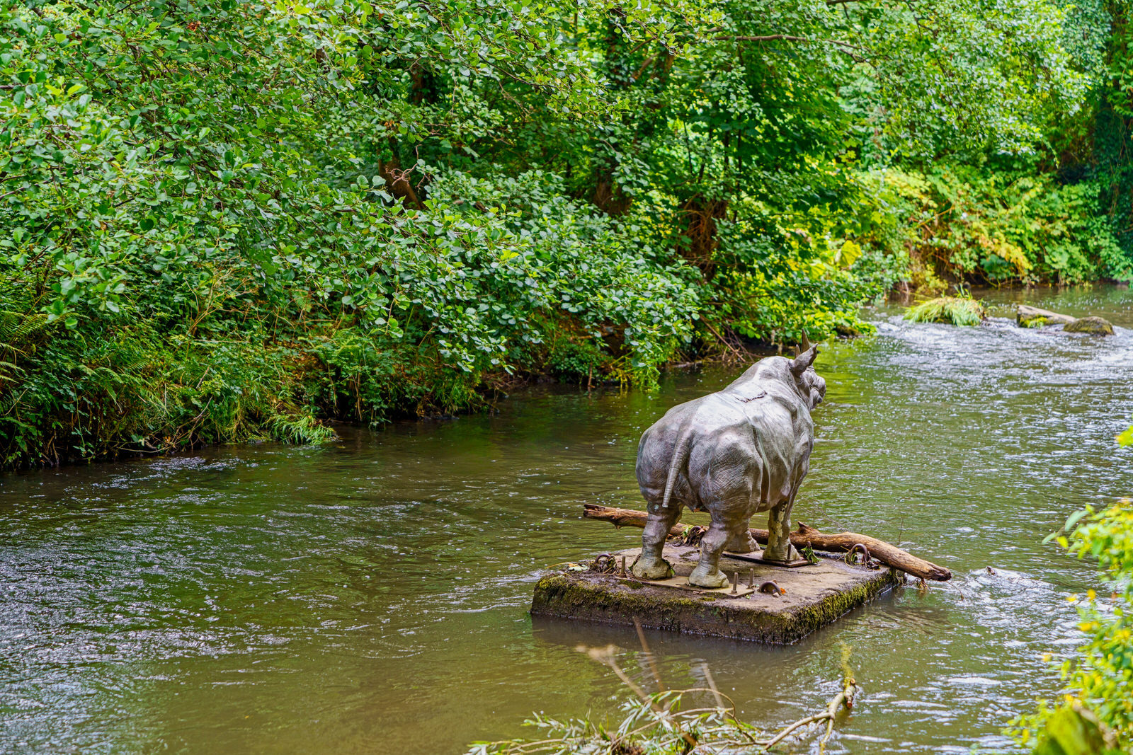 A LONELY RHINO IN THE DODDER [BEHIND THE DROPPING WELL PUB]-239111-1