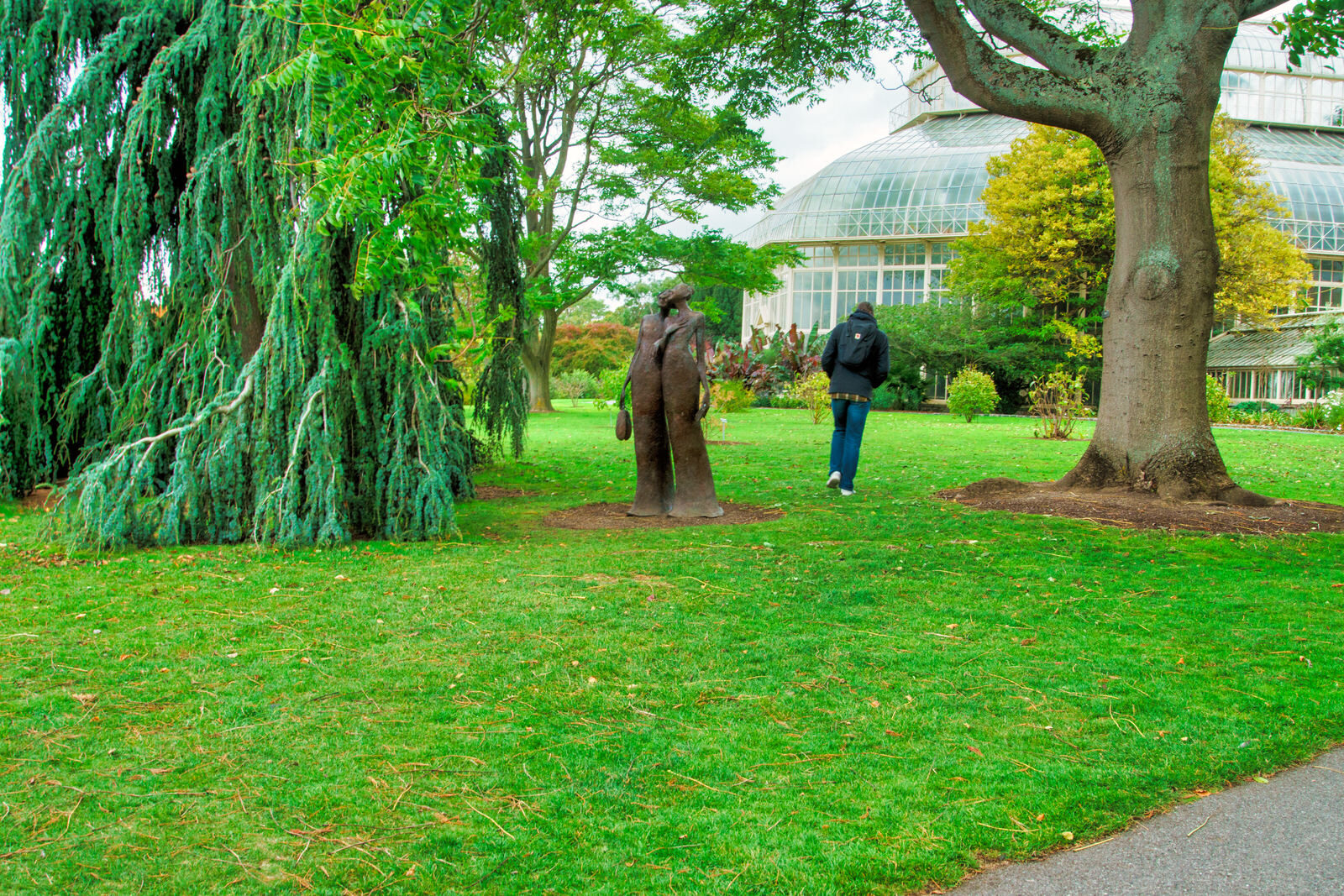 THE BEST NIGHT EVER BY BOB QUINN AT THE BOTANIC GARDENS [THERE IS A DUPLICATE IN CITY WEST]-242158-1