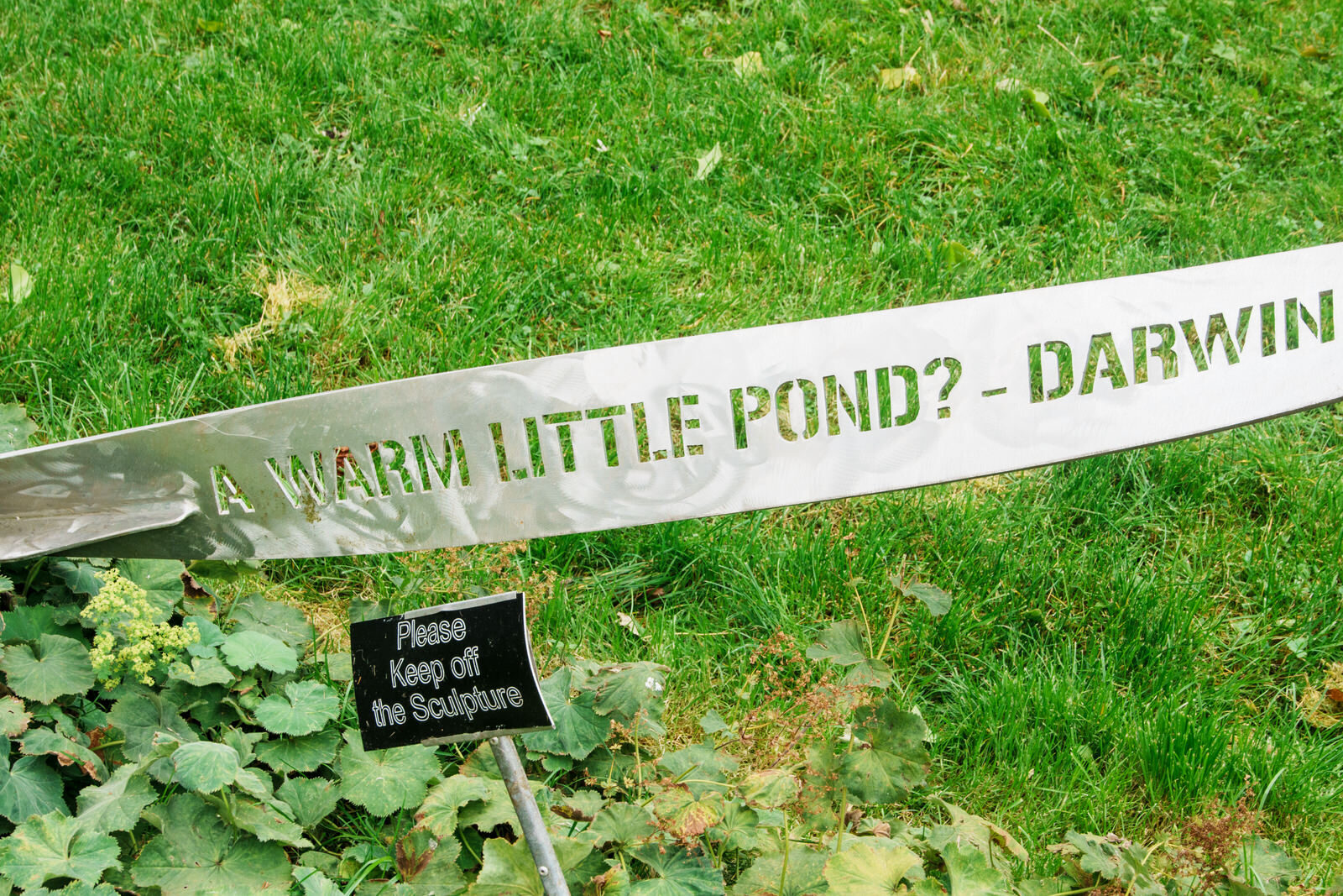 WHAT IS LIFE SCULPTURE [BY CHARLES JENCKS AT THE NATIONAL BOTANIC GARDENS IN DUBLIN]-242080-1