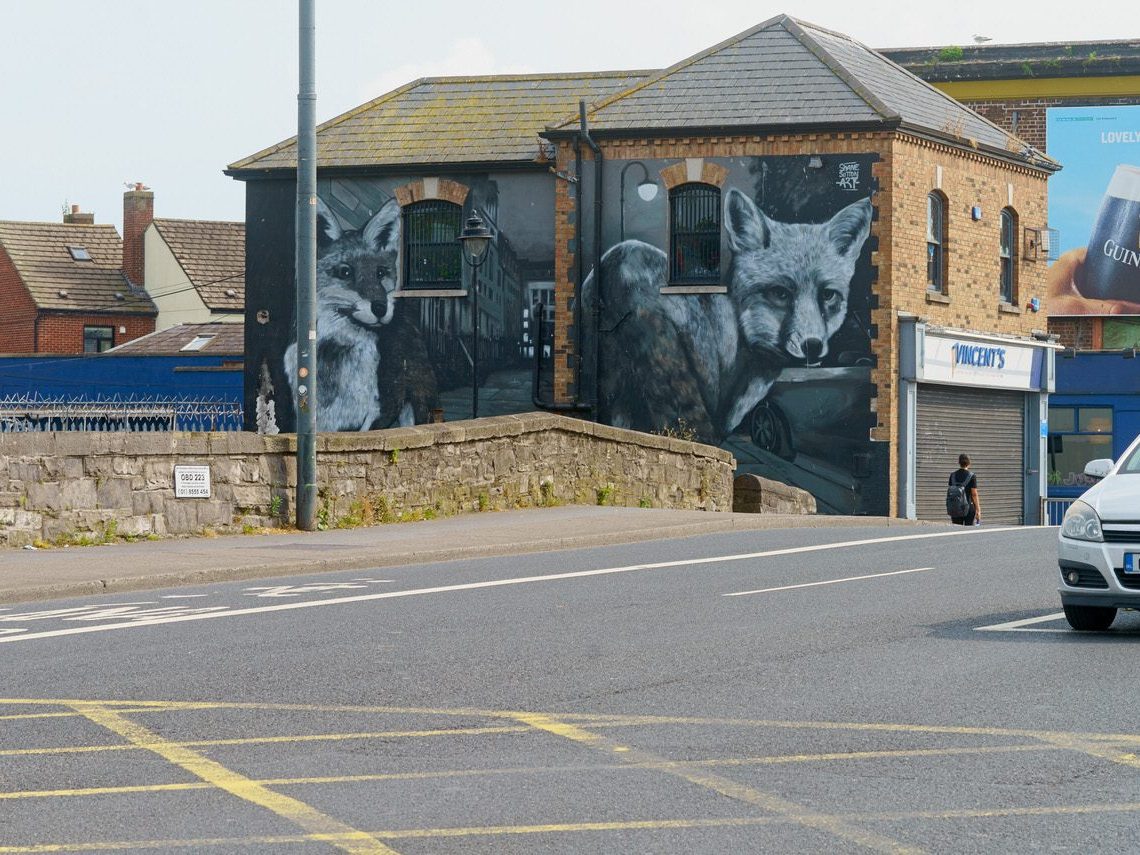 CITY FOXES BY SHANE SUTTON [VINCENT'S DRUMCONDRA END OF DORSET STREET] 003