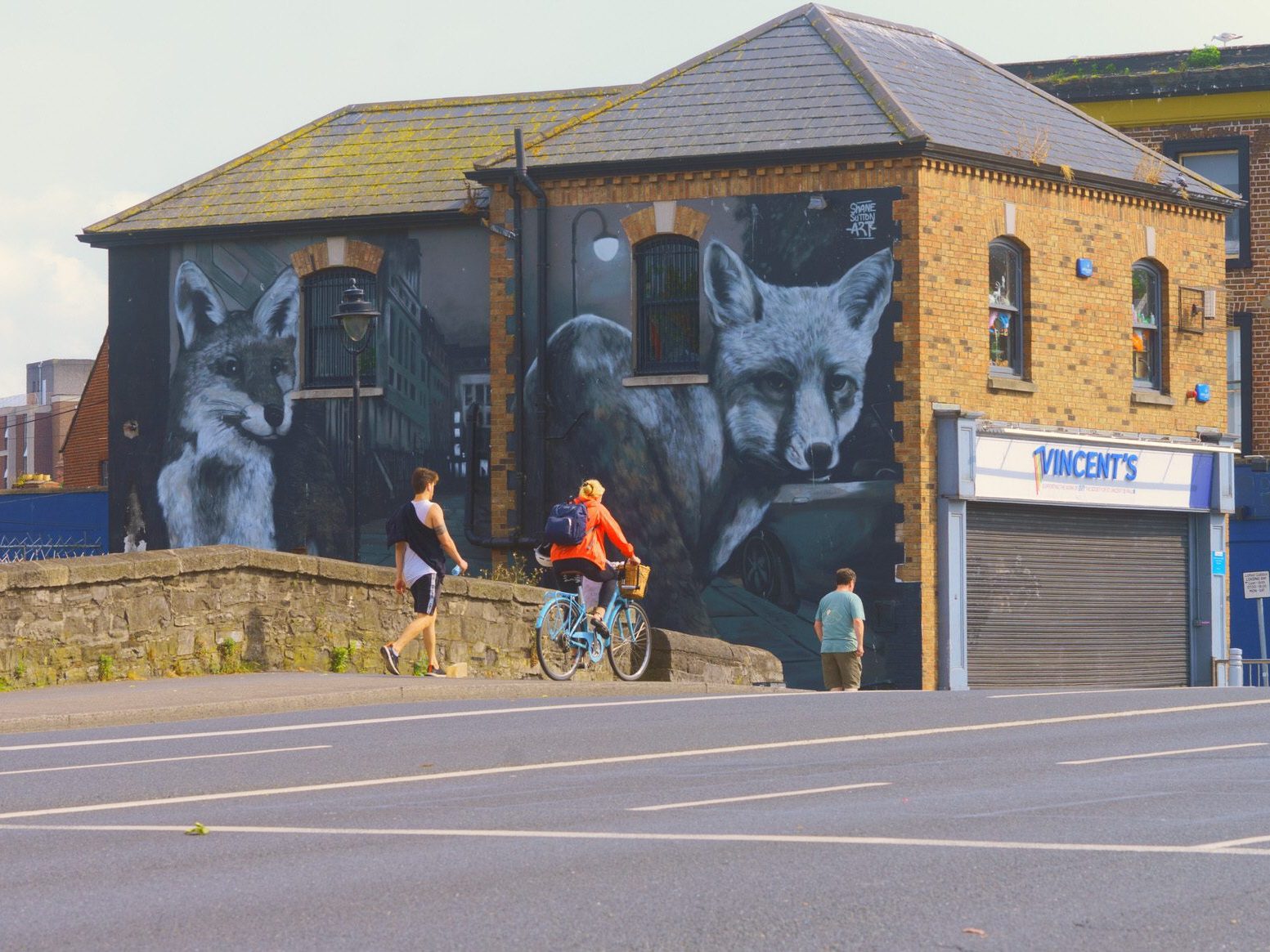 CITY FOXES BY SHANE SUTTON [VINCENT'S DRUMCONDRA END OF DORSET STREET] 002
