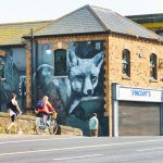 CITY FOXES BY SHANE SUTTON [VINCENT'S DRUMCONDRA END OF DORSET STREET] 001