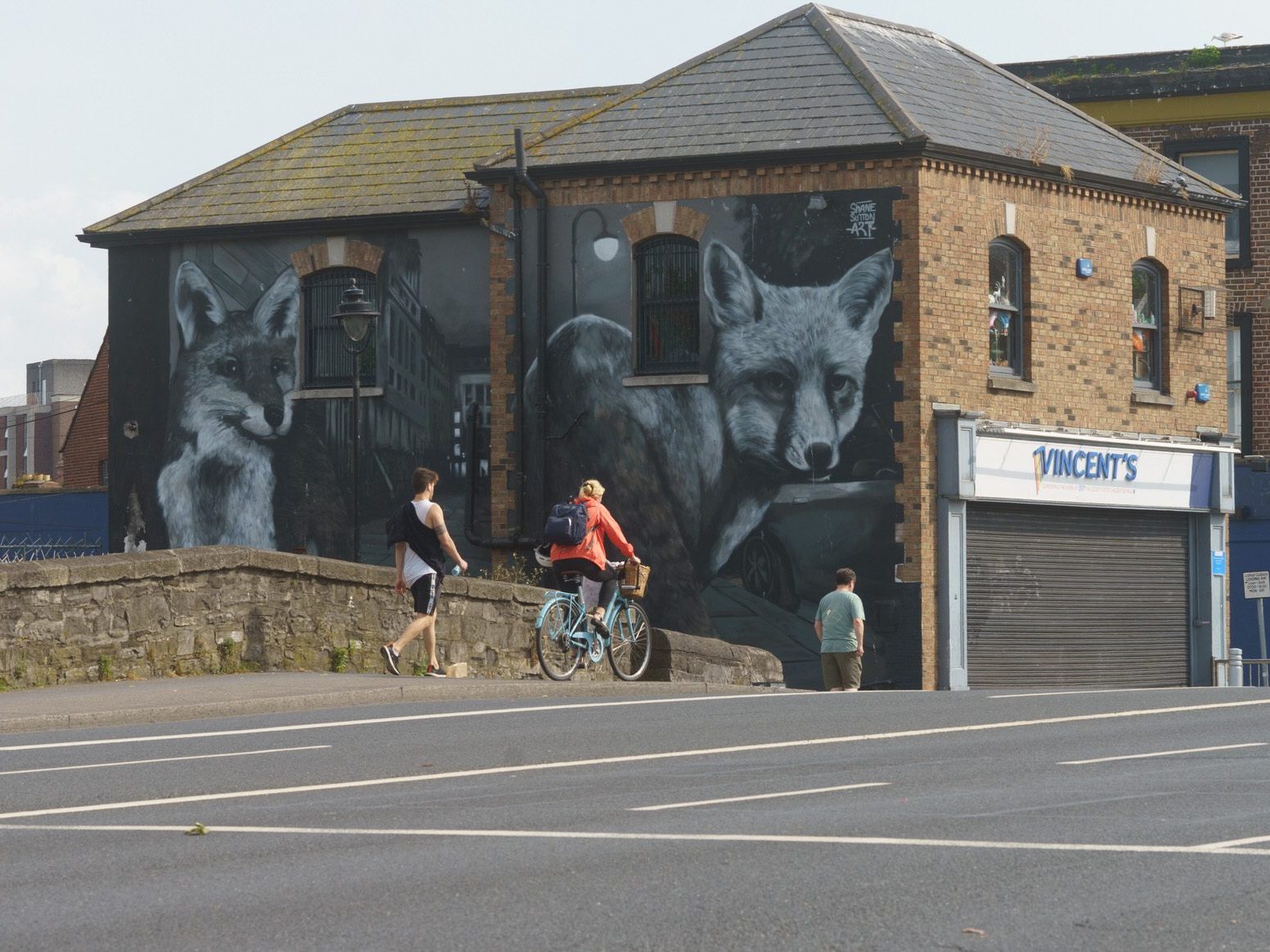 CITY FOXES BY SHANE SUTTON [VINCENT'S DRUMCONDRA END OF DORSET STREET] 005