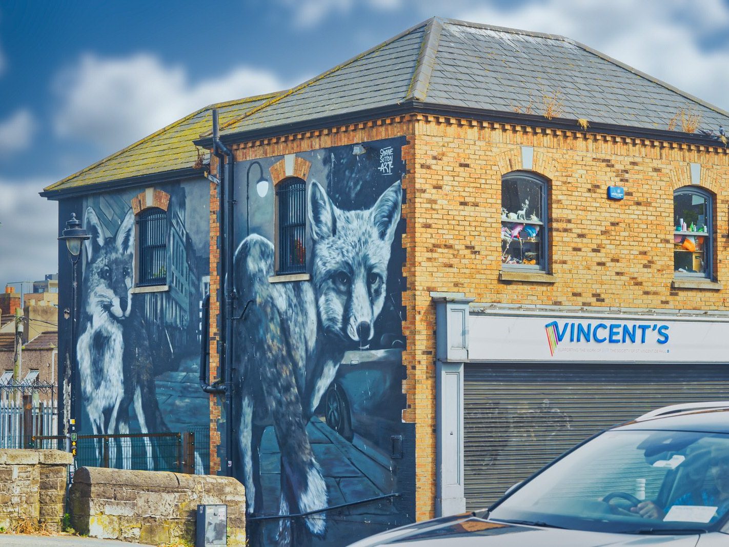 CITY FOXES BY SHANE SUTTON [VINCENT'S DRUMCONDRA END OF DORSET STREET] 004
