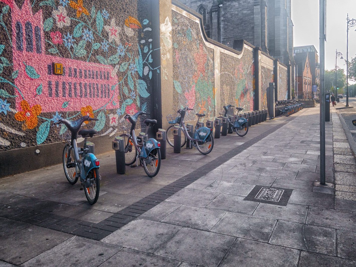 DUBLINBIKES DOCKING STATION 75 AND A MURAL BY HOLLY PEREIRA [JAMES STREET] 006
