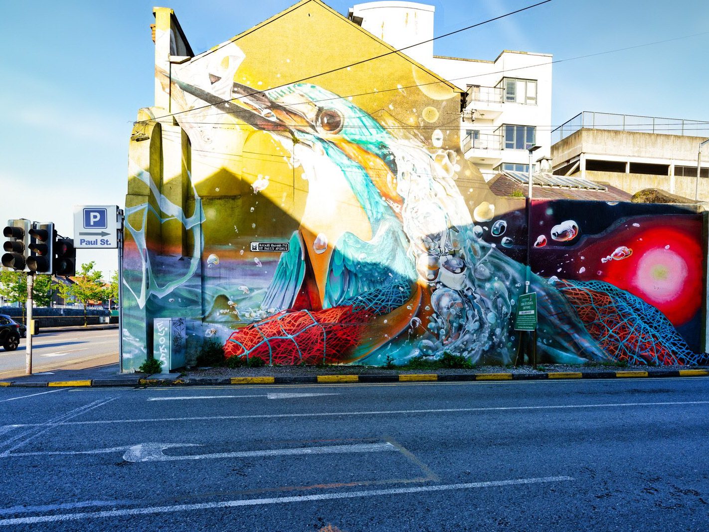 MURAL BY LONDON ARTIST CURTIS HYLTON [THE KINGFISHER AT ST PAUL'S AVENUE IN CORK]-224536-1