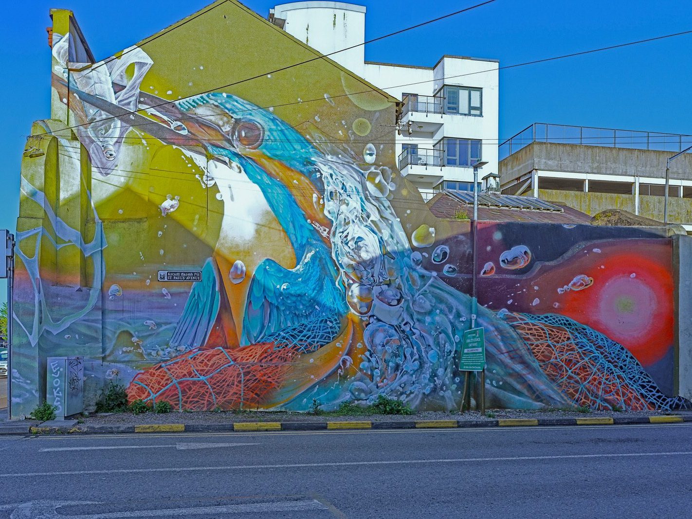 MURAL BY LONDON ARTIST CURTIS HYLTON [THE KINGFISHER AT ST PAUL'S AVENUE IN CORK]-224537-1