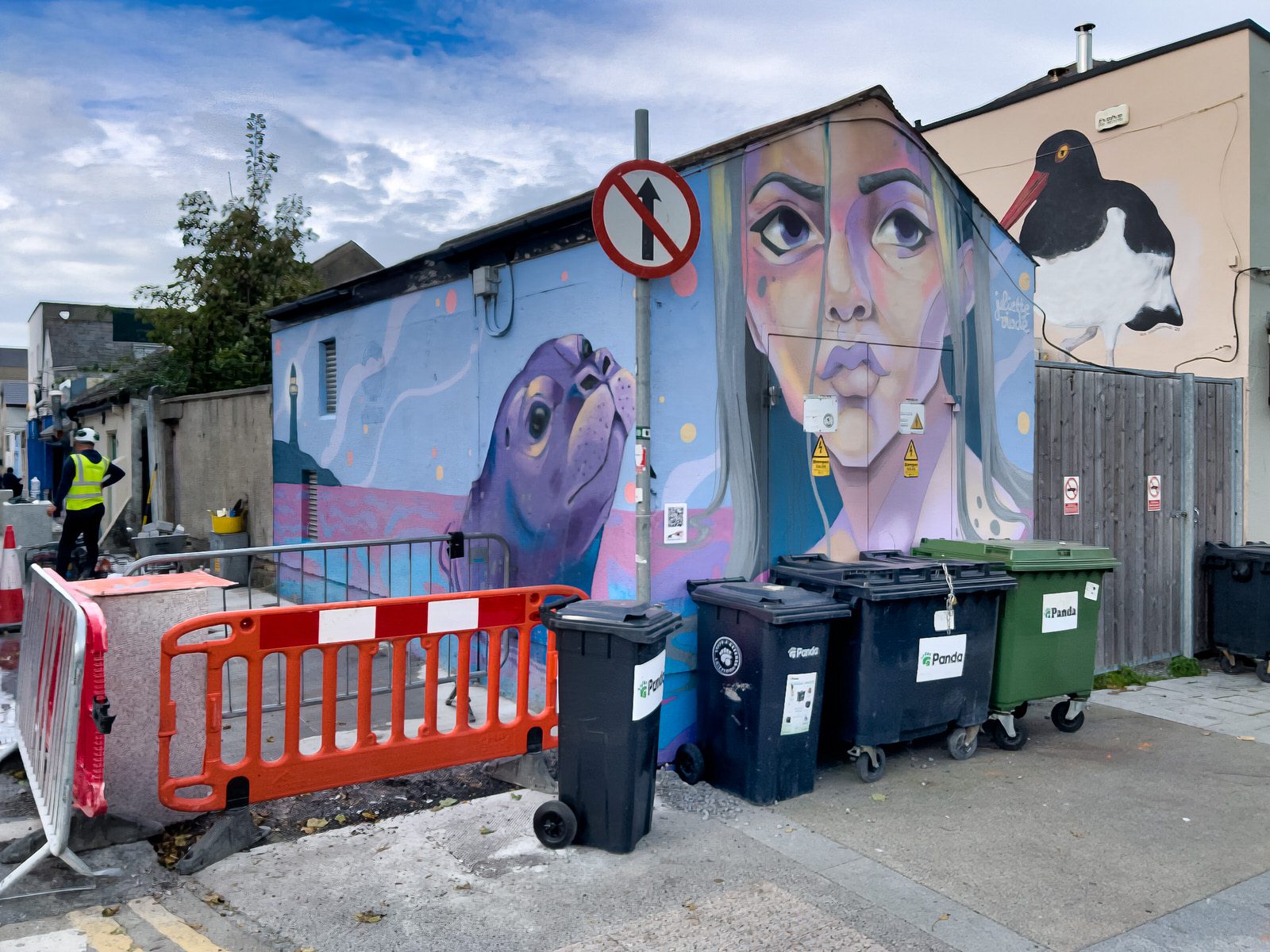 MURALS IN DUN LAOGHAIRE [SECOND SELECTION OF RANDOM IMAGES - ANSEO STREET ART PROJECT] 018