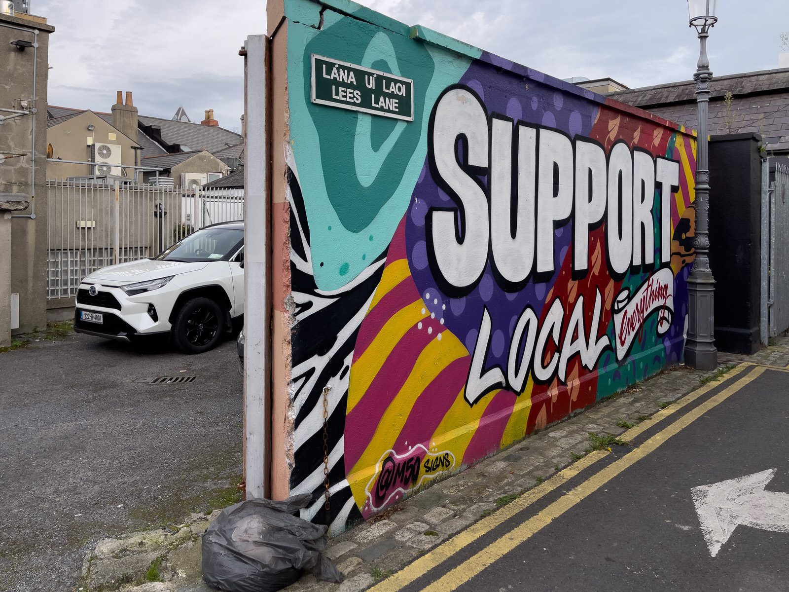 MURALS IN DUN LAOGHAIRE [SECOND SELECTION OF RANDOM IMAGES - ANSEO STREET ART PROJECT] 025