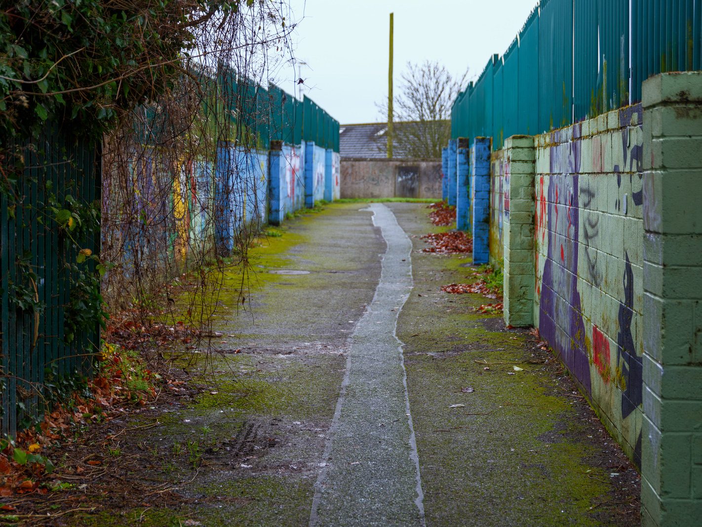 URBAN EXPRESSION AND DEPRESSION [LANEWAY CONNECTING MORNINGTON WAY TO PATRICK STREET IN TRIM]-226397-1