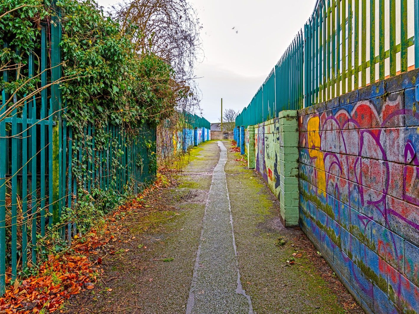 URBAN EXPRESSION AND DEPRESSION [LANEWAY CONNECTING MORNINGTON WAY TO PATRICK STREET IN TRIM]-226398-1