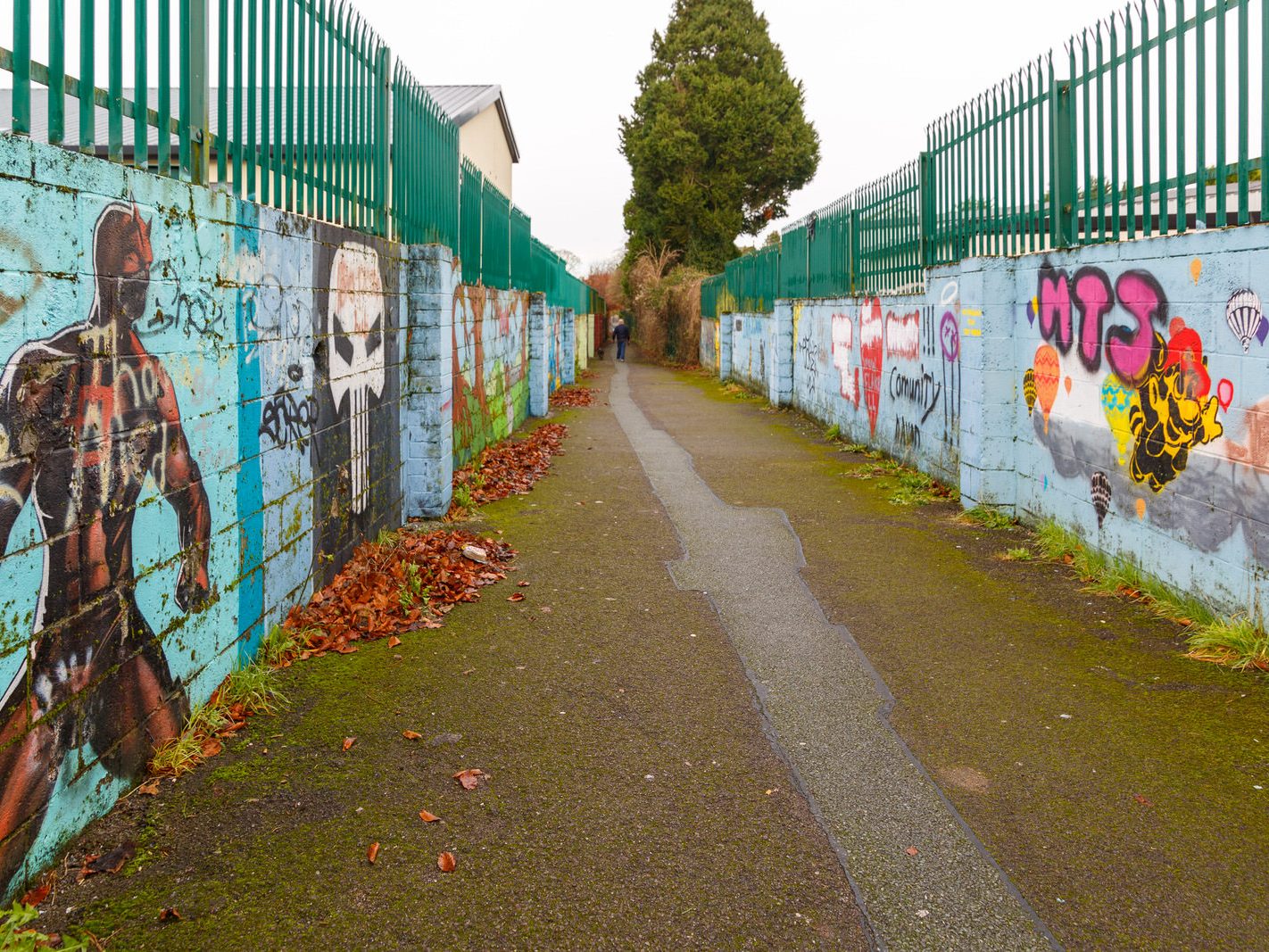 URBAN EXPRESSION AND DEPRESSION [LANEWAY CONNECTING MORNINGTON WAY TO PATRICK STREET IN TRIM]-226405-1