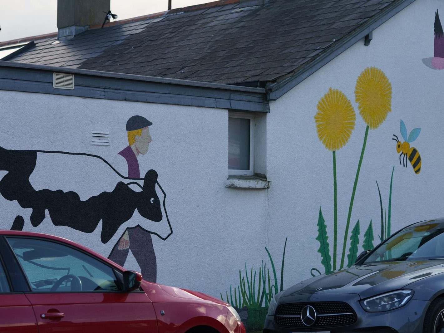 STREET ART ON HALLIDAY ROAD IN STONEYBATTER [ARTISTS IN DUBLIN FACE A NUMBER OF CHALLENGES]-228843-1