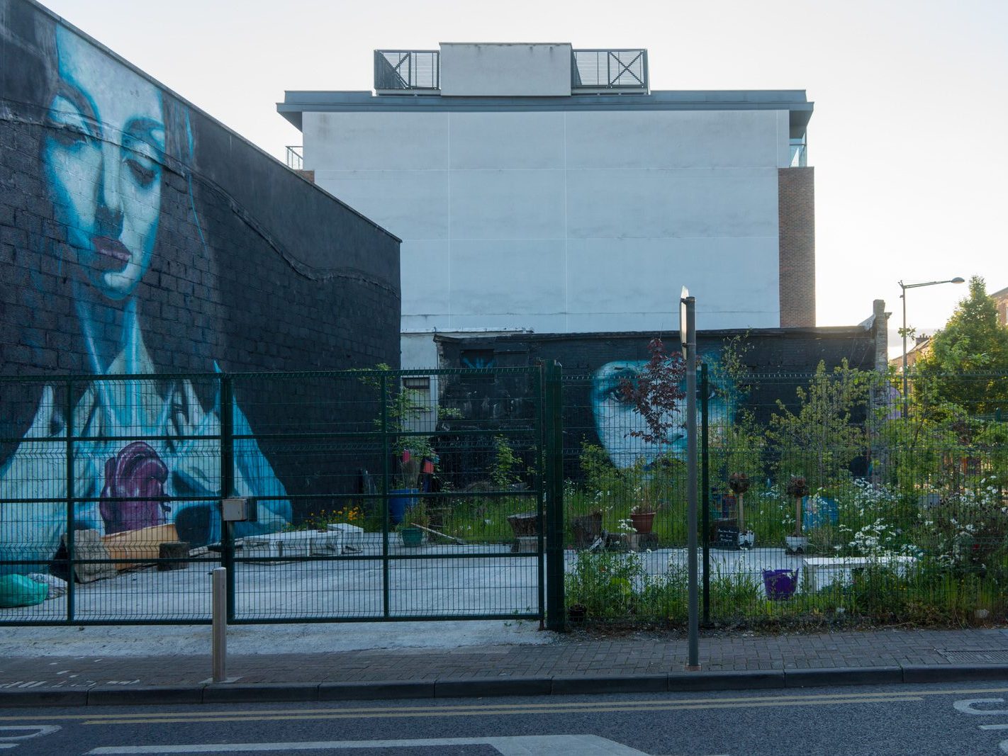 URBAN EXPRESSION IN LIMERICK 2015 [THE PRE NEW-NORMAL YEARS]-197291-1