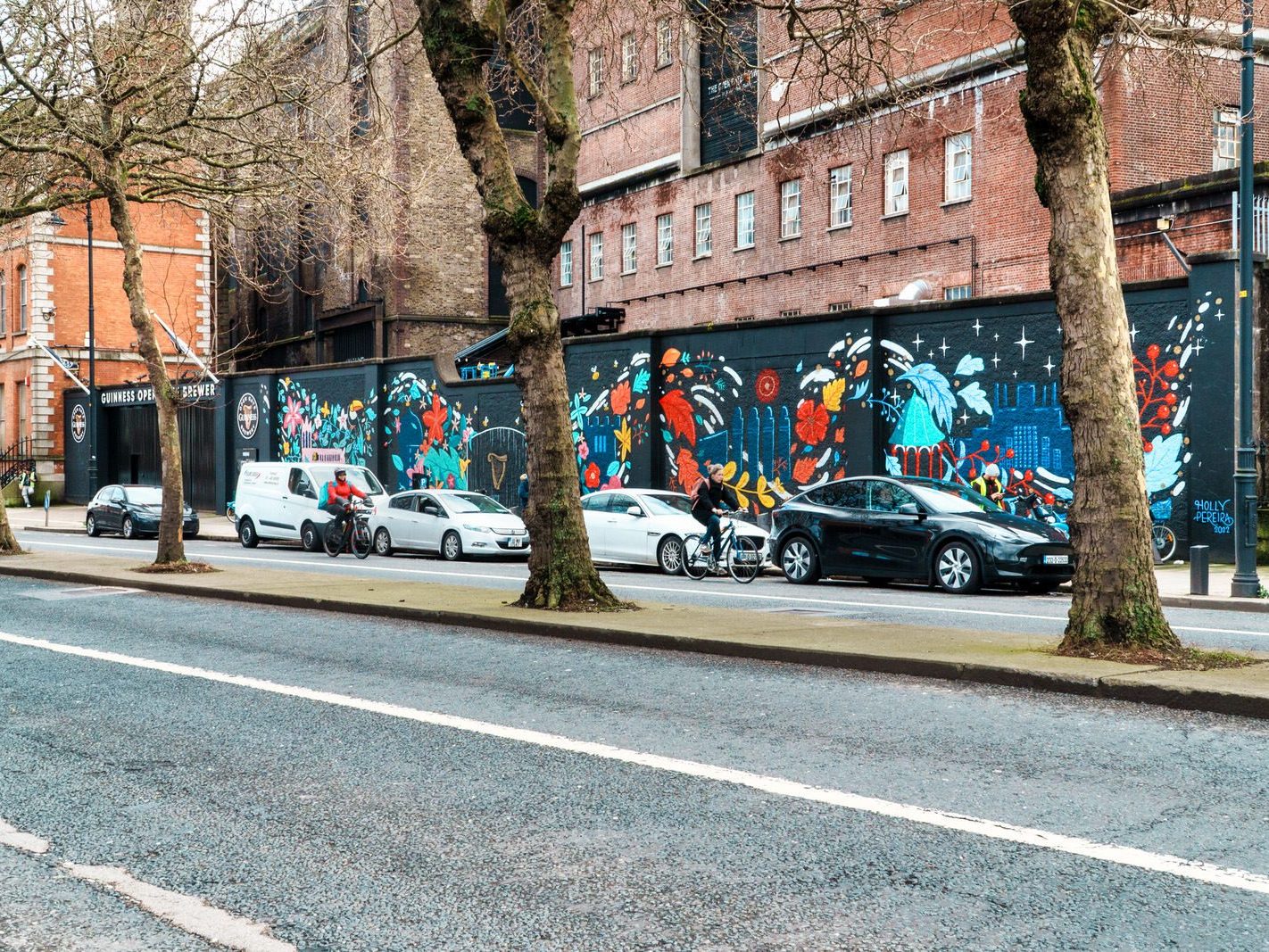 TWO FOR THE PRICE OF ONE [DUBLINBIKES DOCKING STATION 75 AND A MURAL BY HOLLY PEREIRA]-229683-1