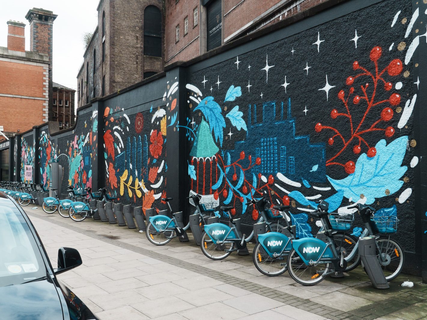 TWO FOR THE PRICE OF ONE [DUBLINBIKES DOCKING STATION 75 AND A MURAL BY HOLLY PEREIRA]-229685-1