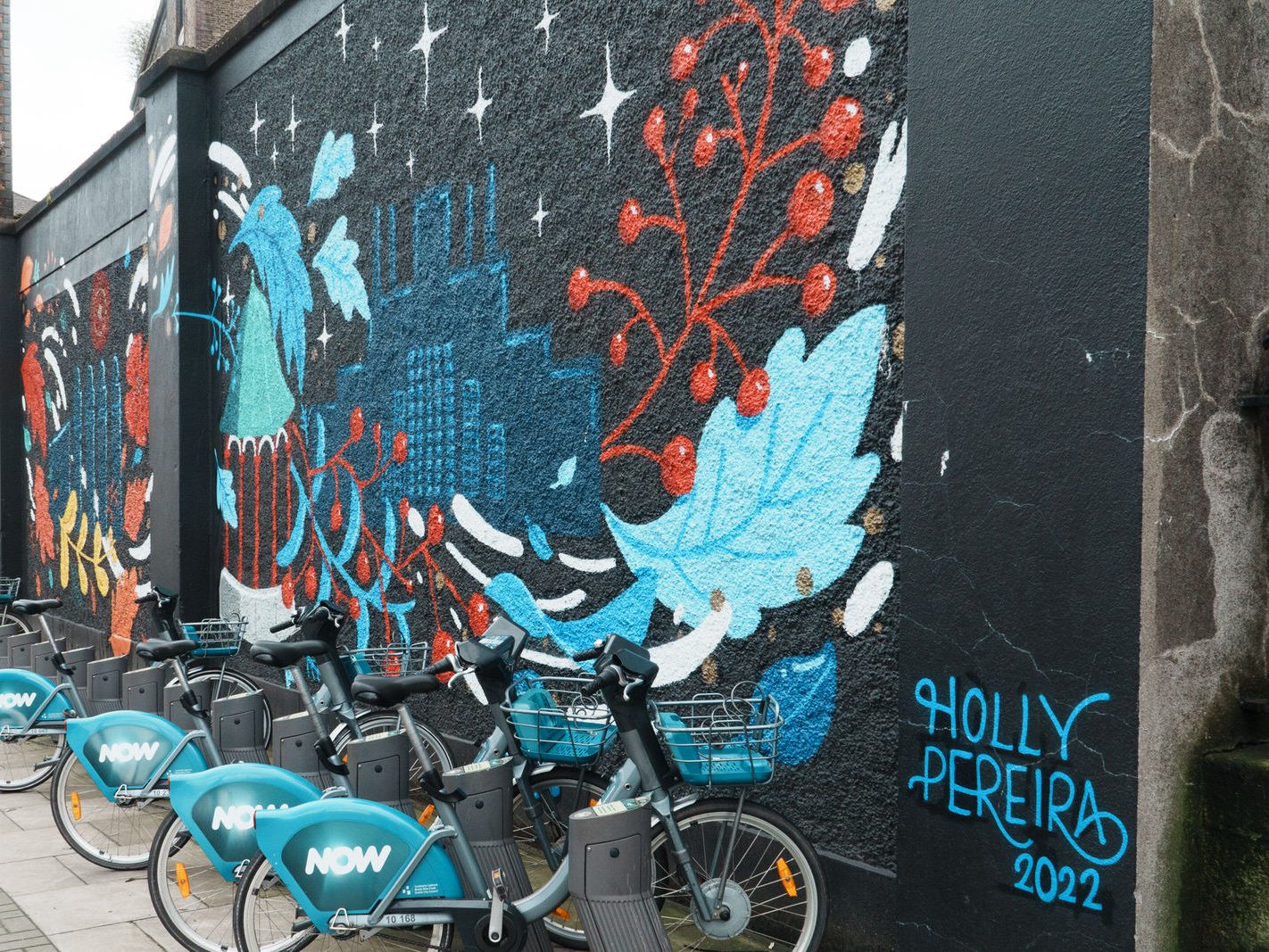 TWO FOR THE PRICE OF ONE [DUBLINBIKES DOCKING STATION 75 AND A MURAL BY HOLLY PEREIRA]-229686-1