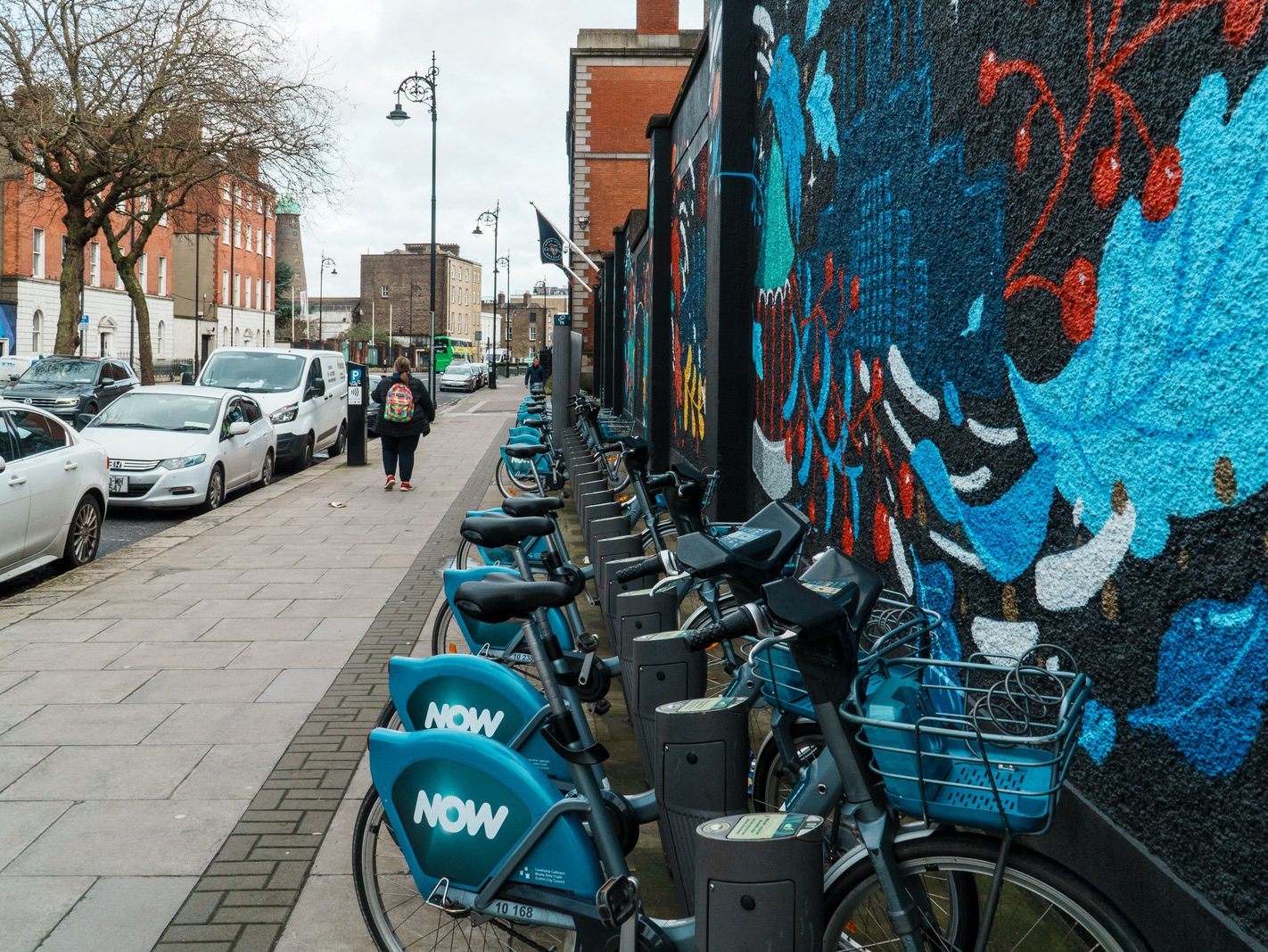TWO FOR THE PRICE OF ONE [DUBLINBIKES DOCKING STATION 75 AND A MURAL BY HOLLY PEREIRA]-229687-1