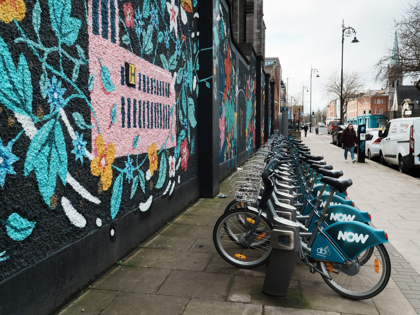 TWO FOR THE PRICE OF ONE [DUBLINBIKES DOCKING STATION 75 AND A MURAL BY HOLLY PEREIRA]-229689-1