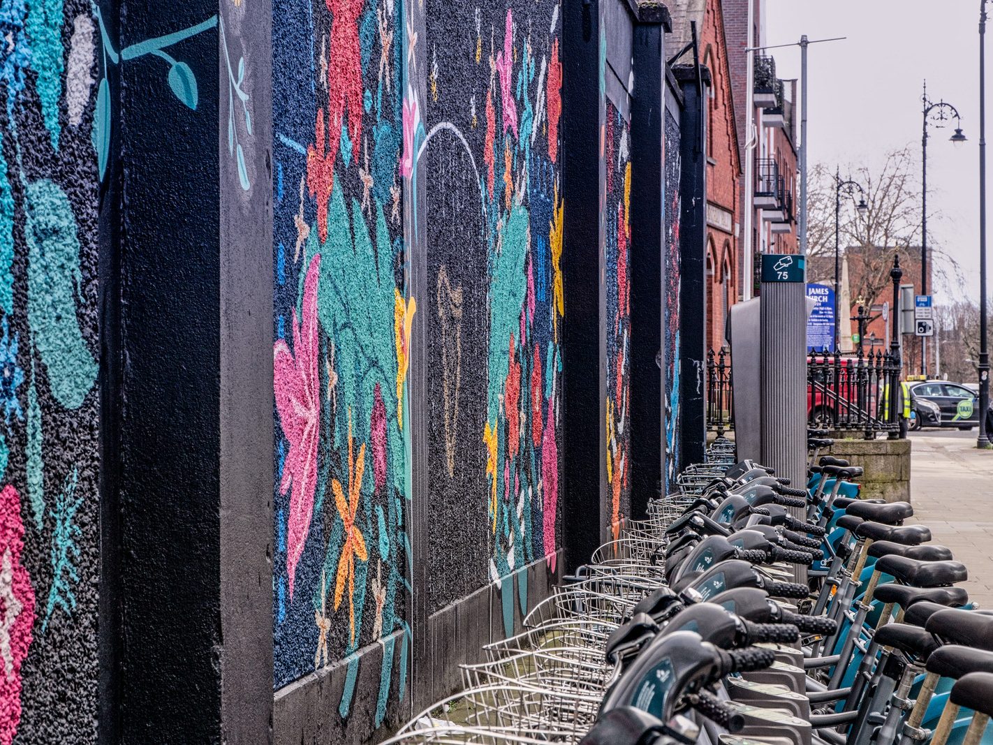 TWO FOR THE PRICE OF ONE [DUBLINBIKES DOCKING STATION 75 AND A MURAL BY HOLLY PEREIRA]-229690-1