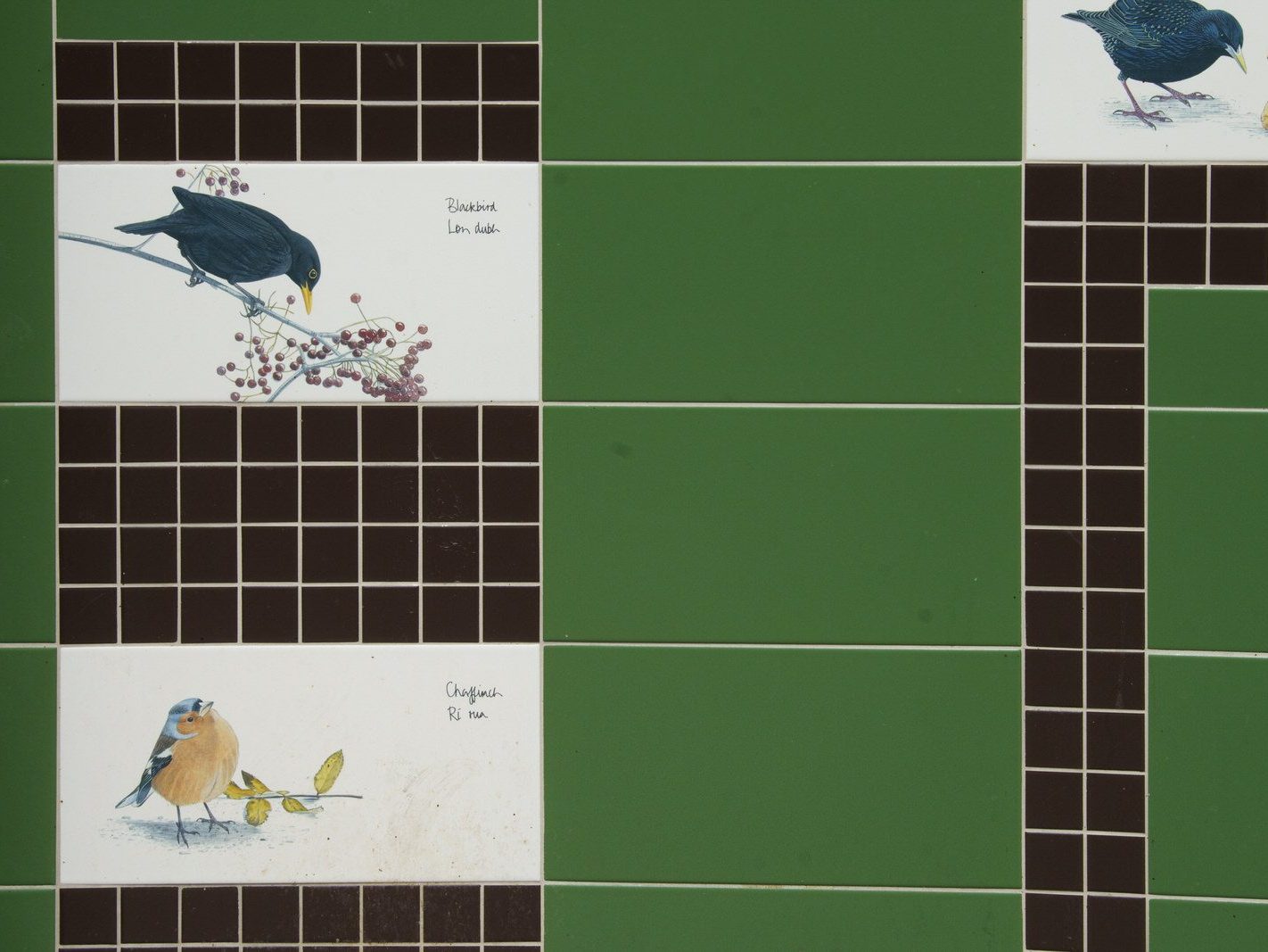TILES BY KILLIAN MULLARNEY FEATURING BIRDS NATIVE TO IRELAND [MICRO PUBLIC SPACE ON WOLFE TONE STREET]-236750-1