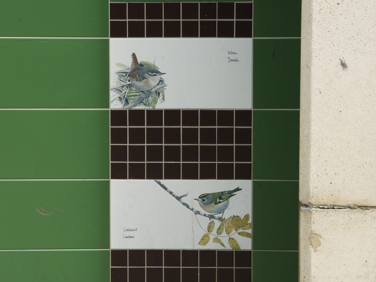 TILES BY KILLIAN MULLARNEY FEATURING BIRDS NATIVE TO IRELAND [MICRO PUBLIC SPACE ON WOLFE TONE STREET]-236751-1