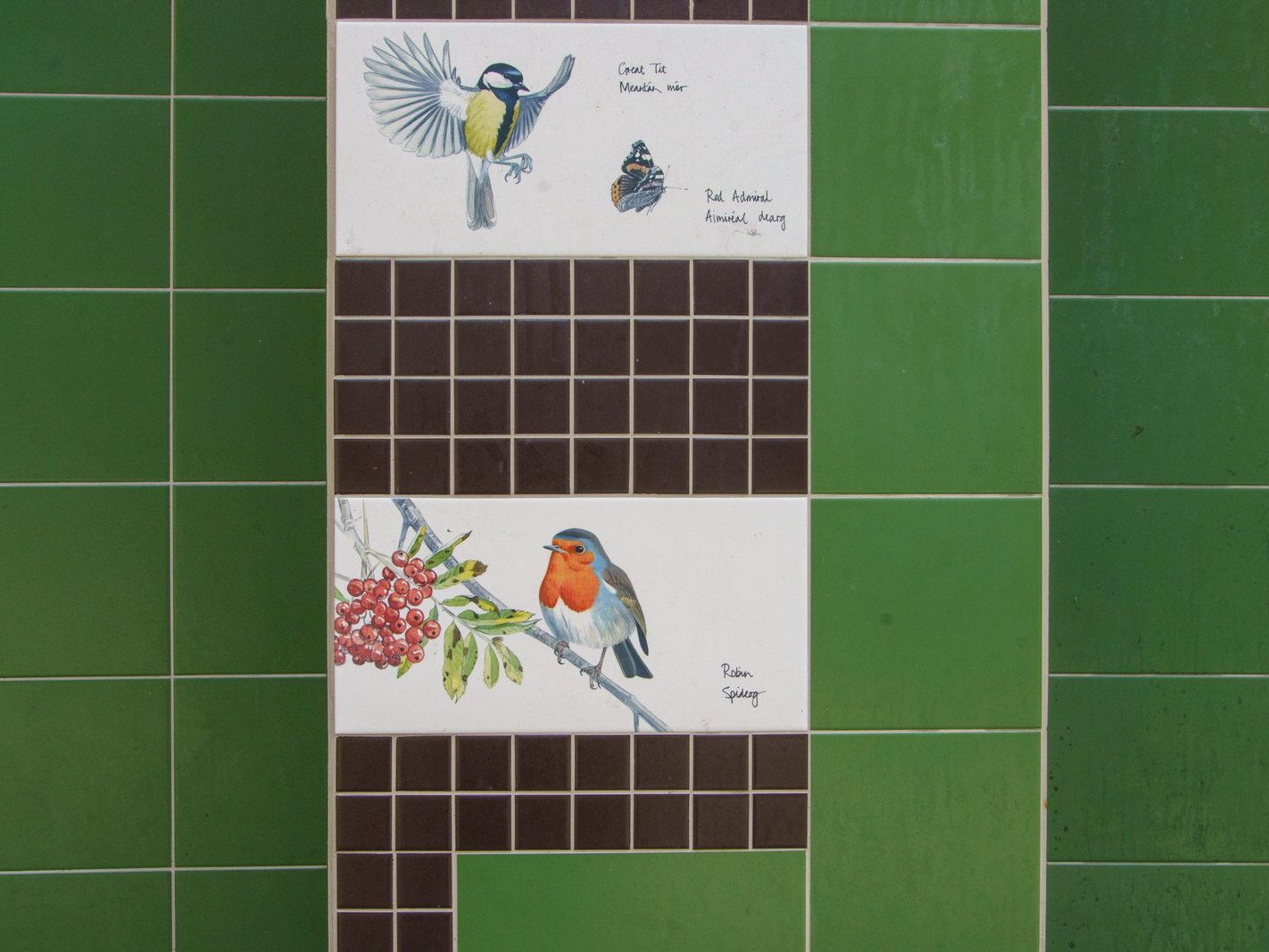 TILES BY KILLIAN MULLARNEY FEATURING BIRDS NATIVE TO IRELAND [MICRO PUBLIC SPACE ON WOLFE TONE STREET]-236753-1