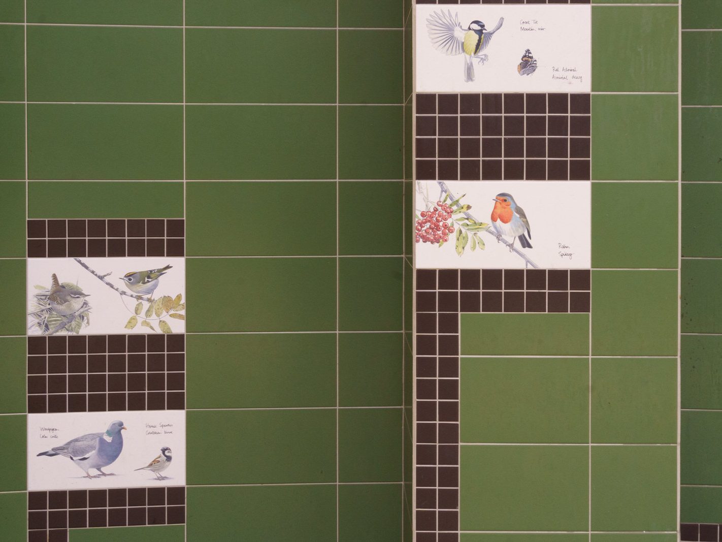 TILES BY KILLIAN MULLARNEY FEATURING BIRDS NATIVE TO IRELAND [MICRO PUBLIC SPACE ON WOLFE TONE STREET]-236754-1