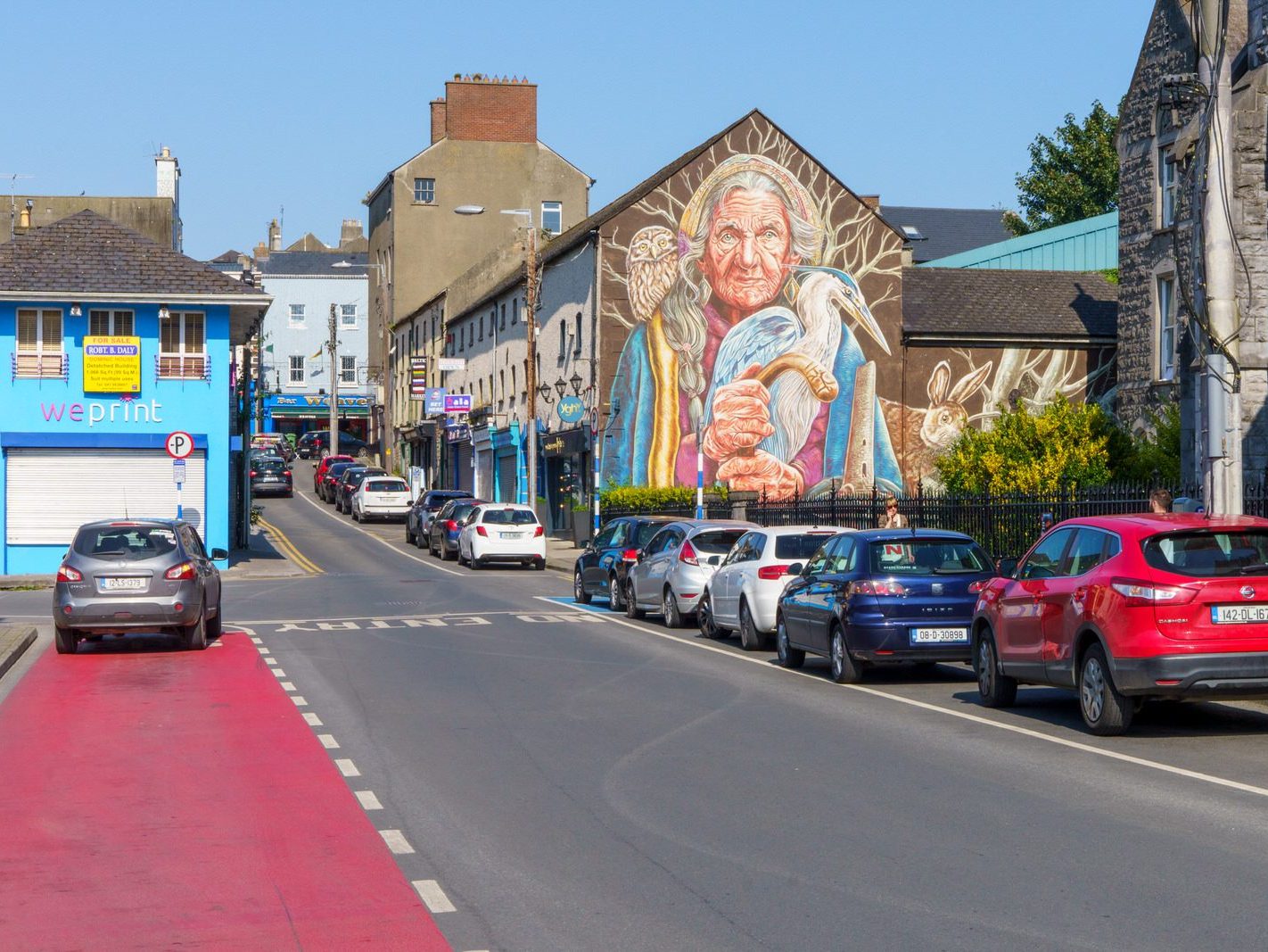 DRAWDA URBAN ART TRAIL [THIS MURAL IS BY VERA BUGATTI AND IT IS ON DOMINIC STREET IN DROGHEDA]-240010-1