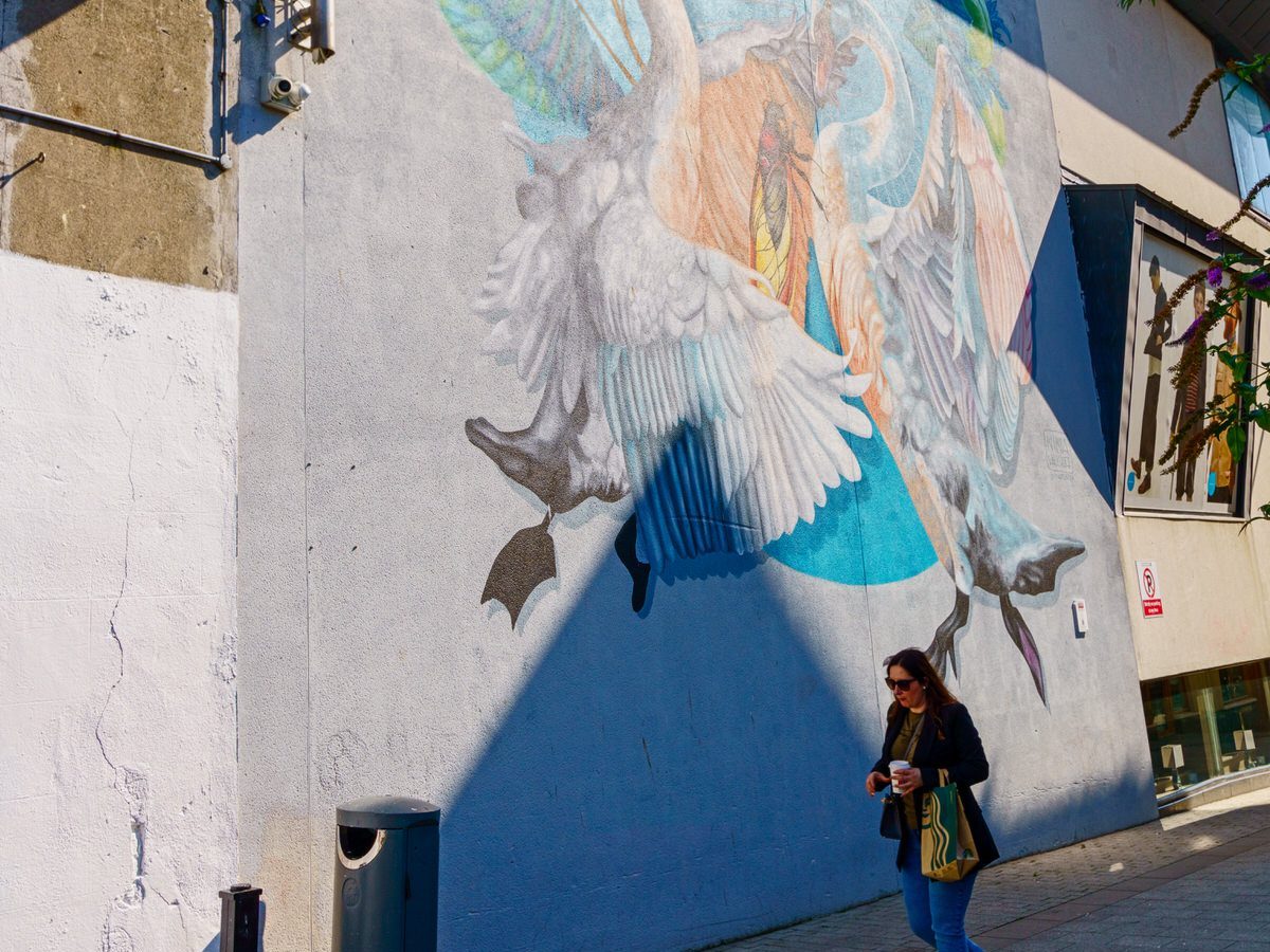 ETAIN IS A MURAL BY NINA VALKHOFF [AT MEAT MARKET LANE IN DROGHEDA]-239868-1