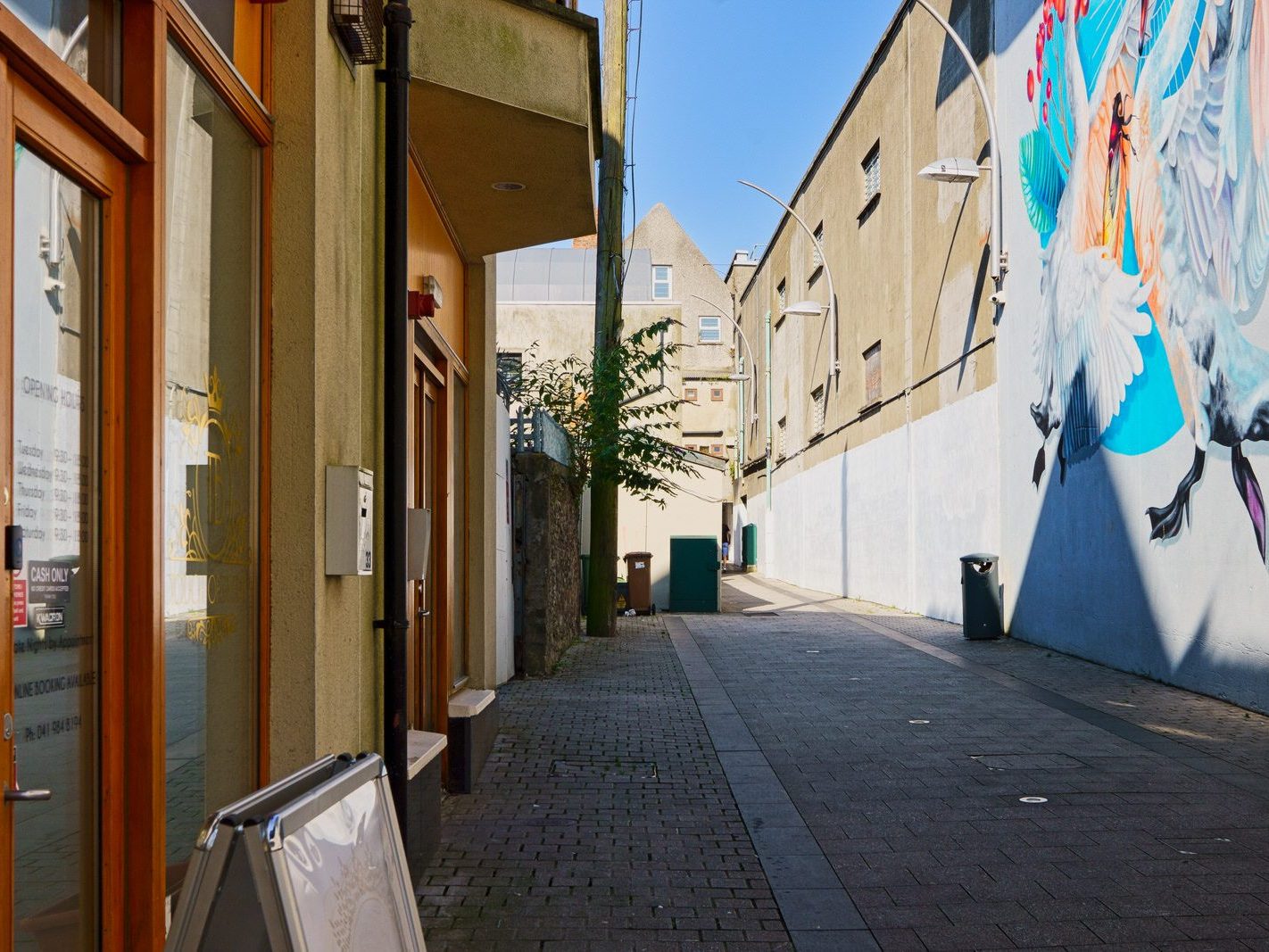 ETAIN IS A MURAL BY NINA VALKHOFF [AT MEAT MARKET LANE IN DROGHEDA]-239869-1