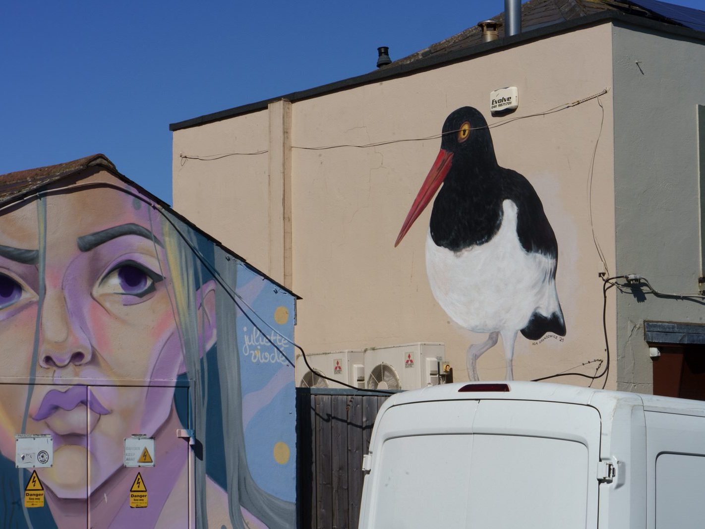 MURAL BY JULIETTE VIODE [DUN LAOGHAIRE ANSEO STREET ART PROGRAMME]-240984-1