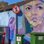 MURAL BY JULIETTE VIODE [DUN LAOGHAIRE ANSEO STREET ART PROGRAMME]-240986-1