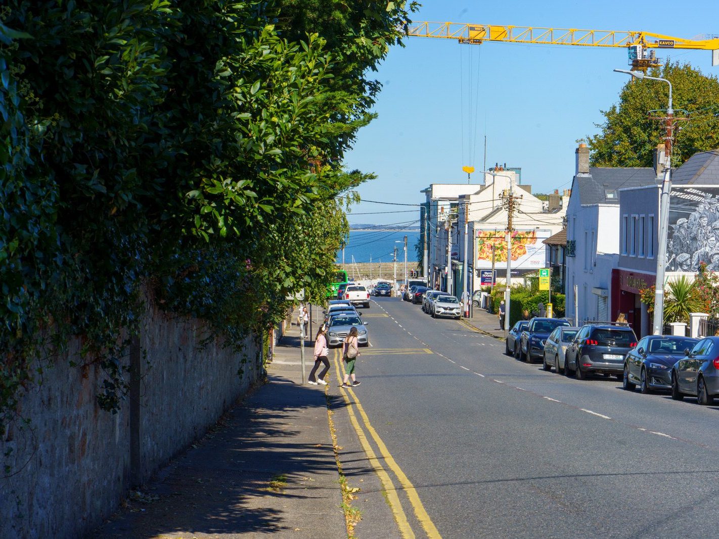 MURAL ON YORK ROAD BY MARIANA DUARTE SANTOS [DUN LAOGHAIRE]-240653-1