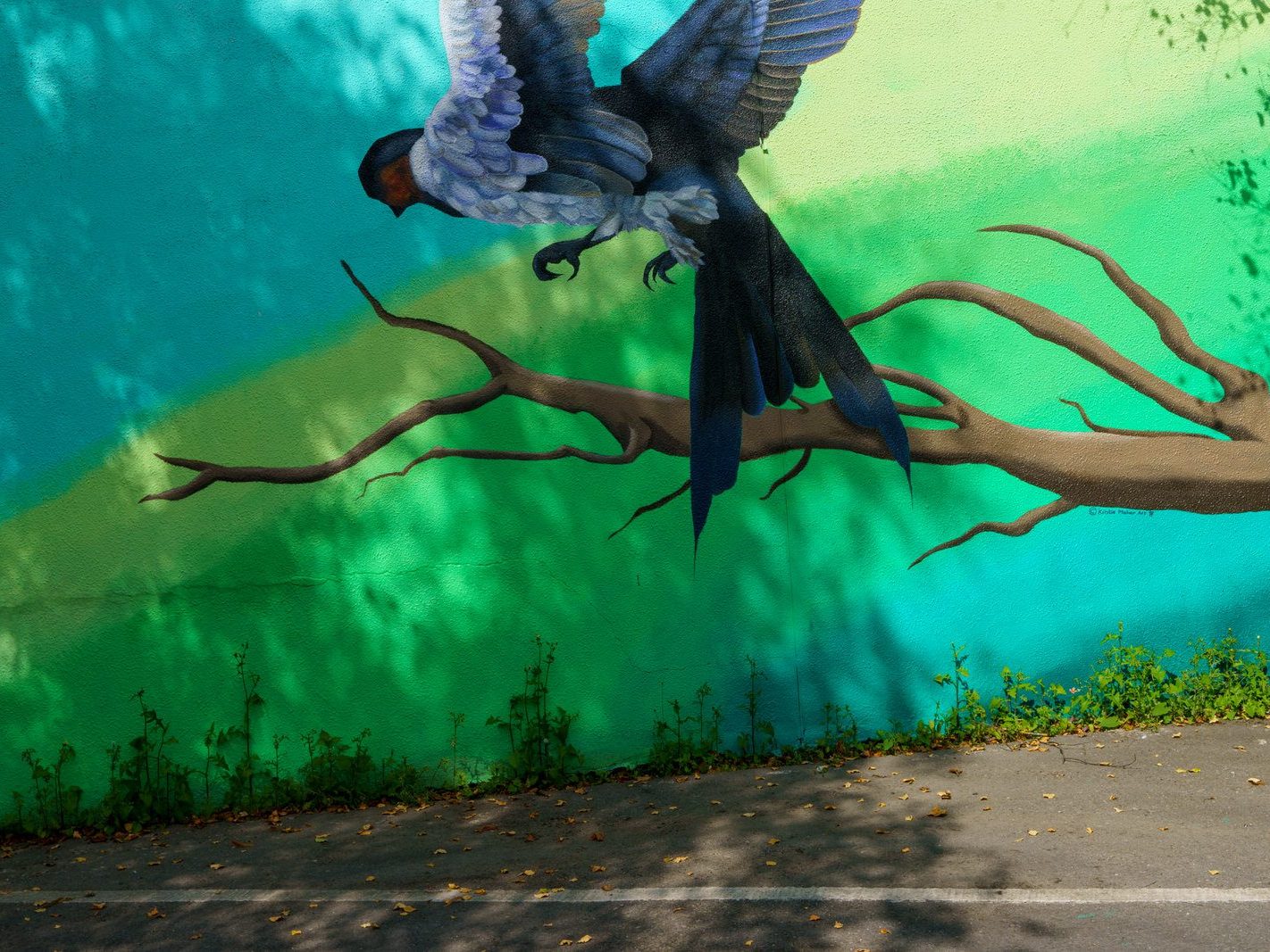 MURALS IN THE PARK BY KIRSTY MAHER [CARLOW TOWN PARK AND PLAYGROUND]-239508-1