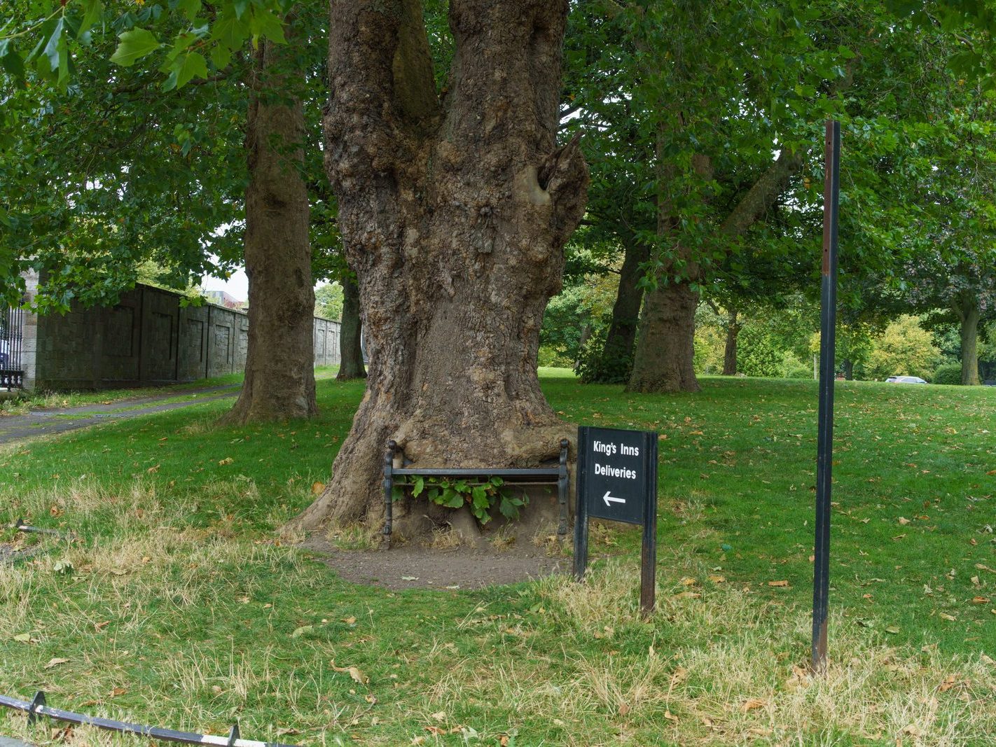 THE HUNGRY TREE [LOCAL CHILDREN ARE AFRAID TO SIT ON THE BENCH]-241654-1