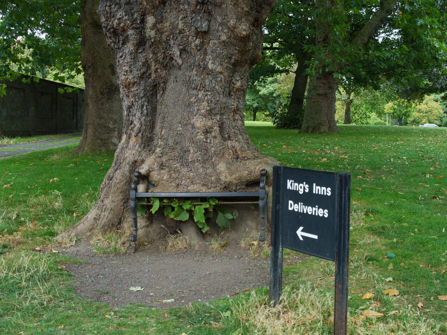 THE HUNGRY TREE [LOCAL CHILDREN ARE AFRAID TO SIT ON THE BENCH]-241655-1