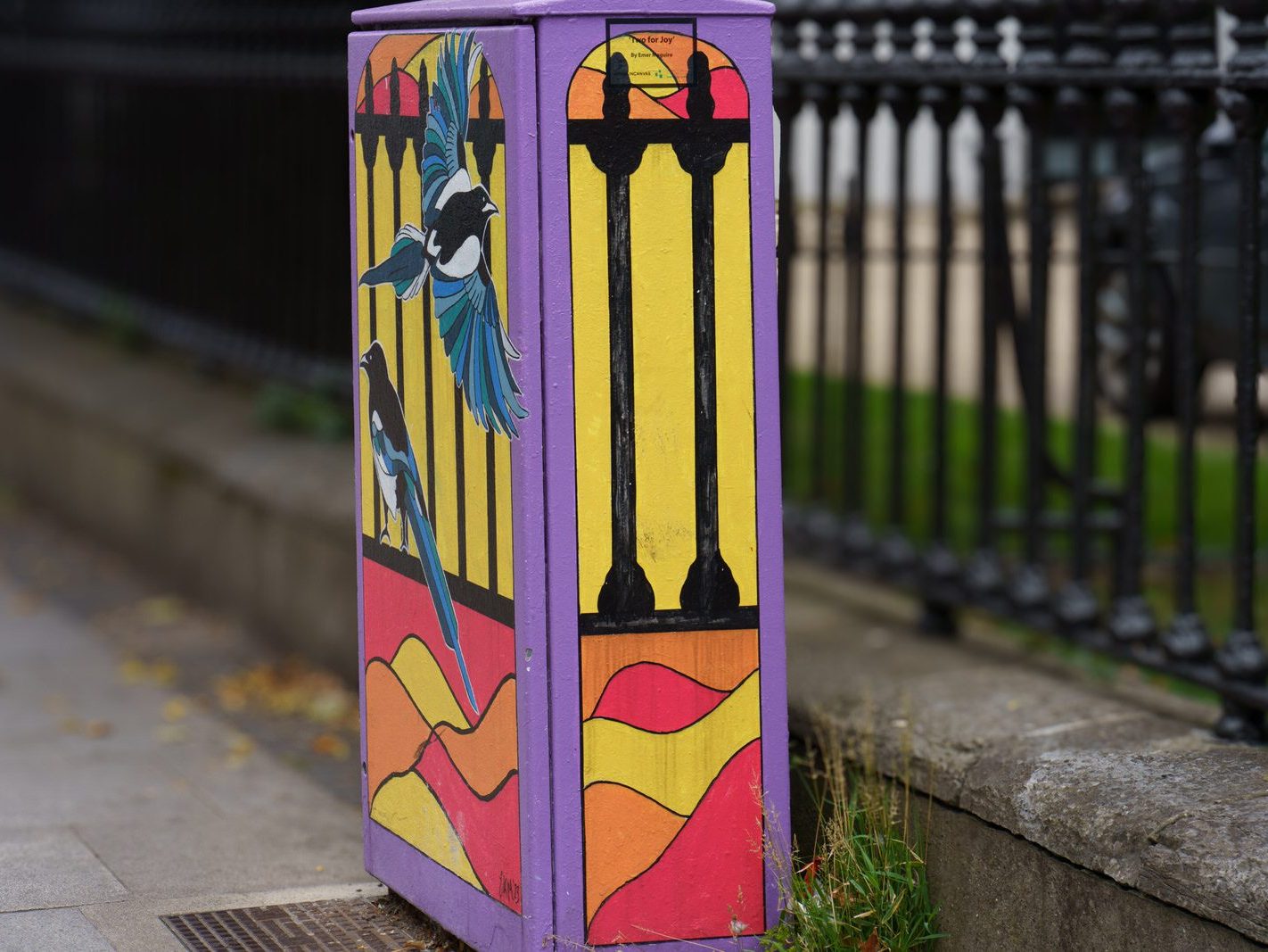 TWO FOR JOY BY EMER MAGUIRE [PAINT-A-BOX STREET ART ON LOWER RATHMINES ROAD]-242826-1