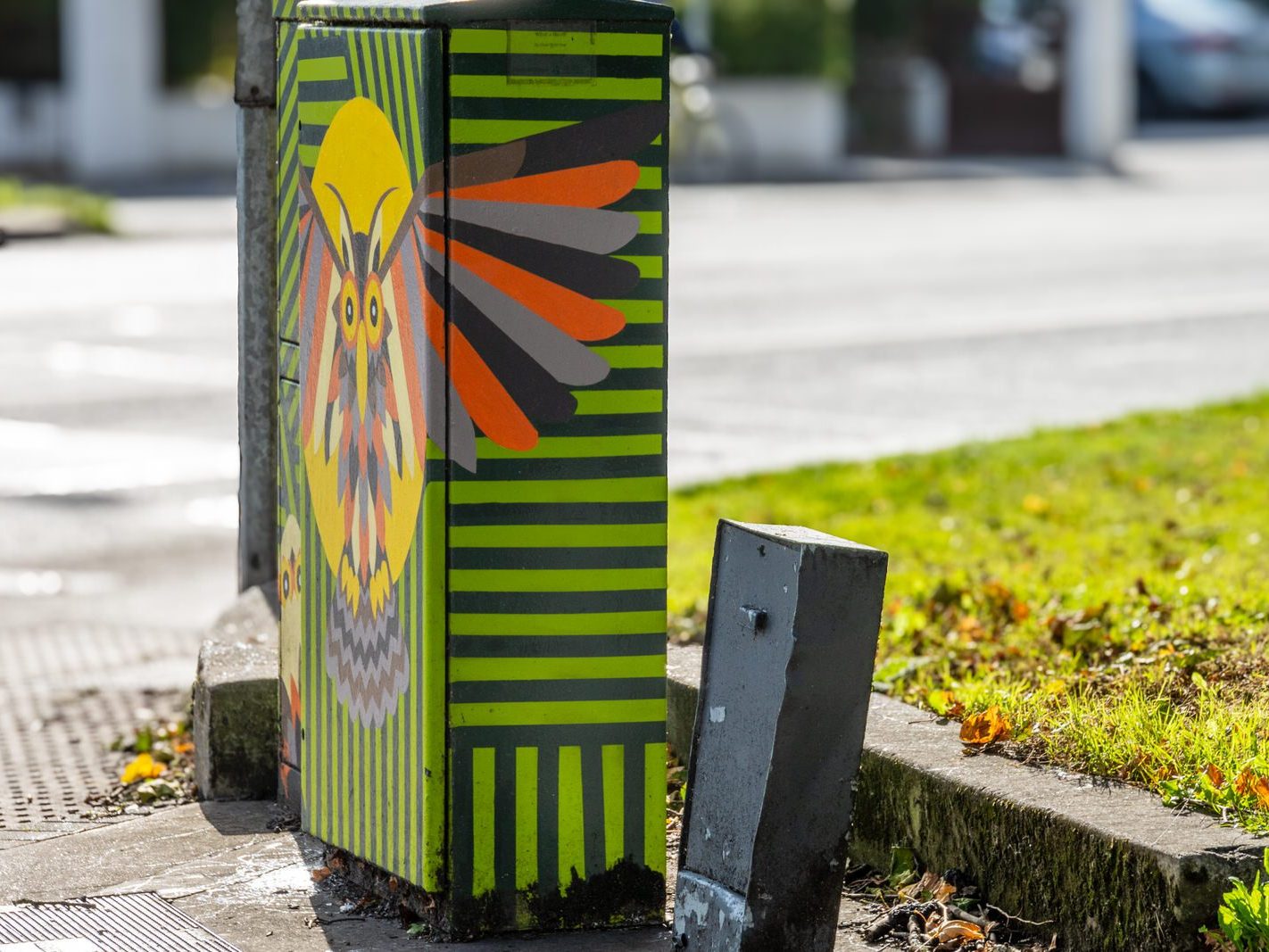 WHAT A HOOT [PAINT-A-BOX STREET ART BY ALAN MAC ARTHUR]-243085-1