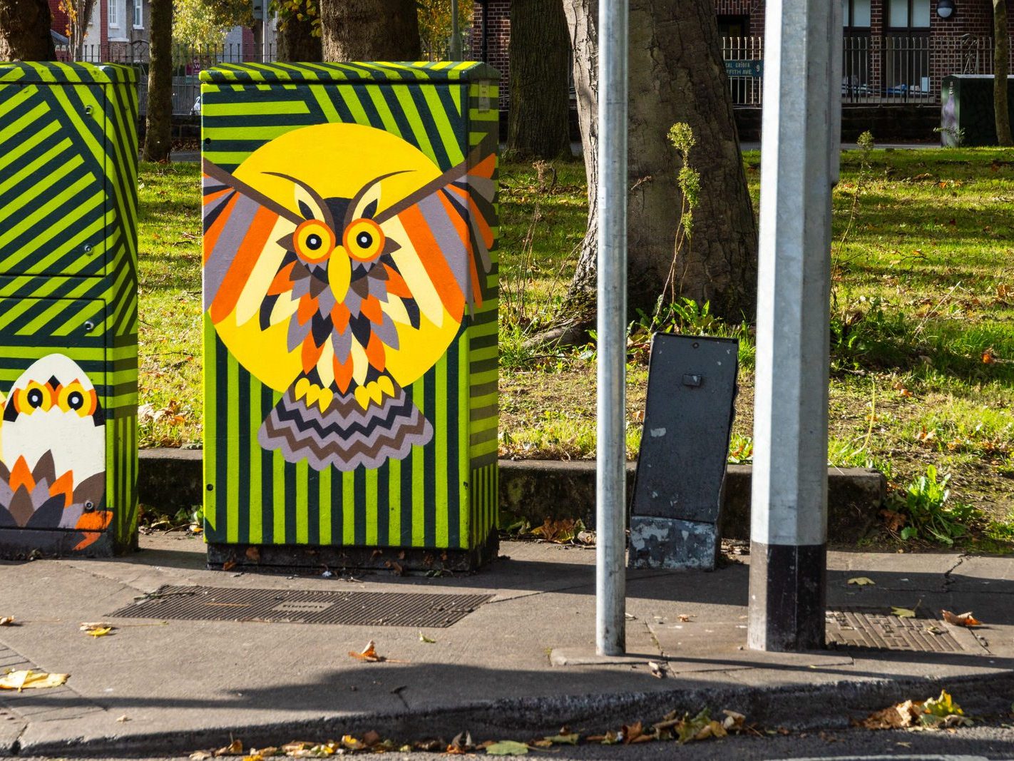 WHAT A HOOT [PAINT-A-BOX STREET ART BY ALAN MAC ARTHUR]-243086-1