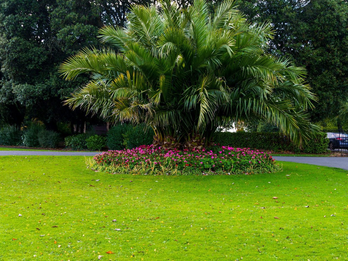 THE PEOPLES FLOWER GARDEN [THIS IS WITHIN PHOENIX PARK]--243523-1